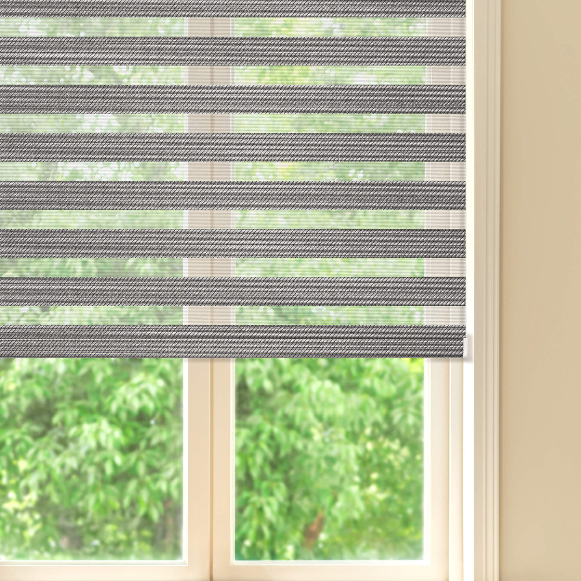 Allesin Prestige Motorized Zebra Shades