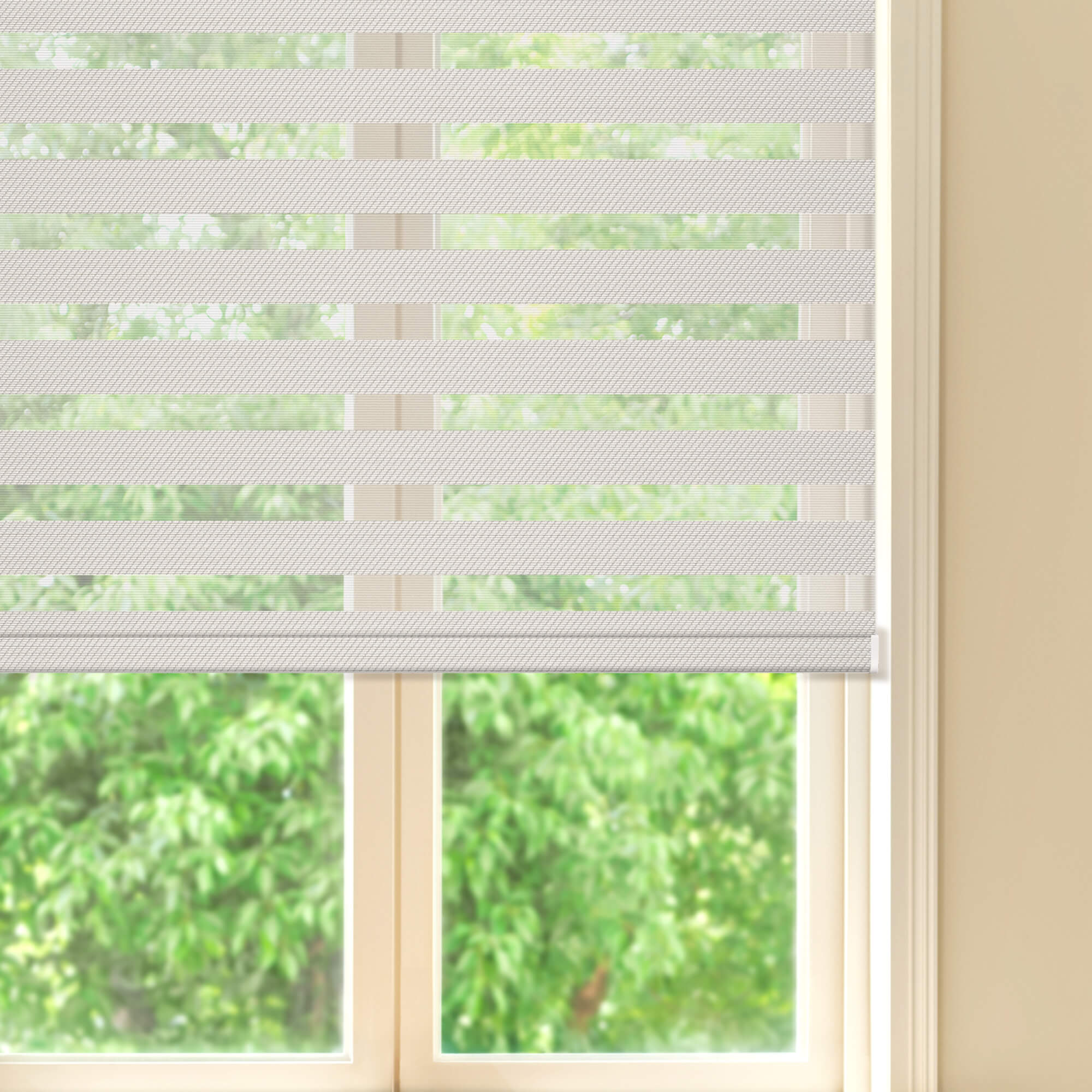 Allesin Prestige Motorized Zebra Shades