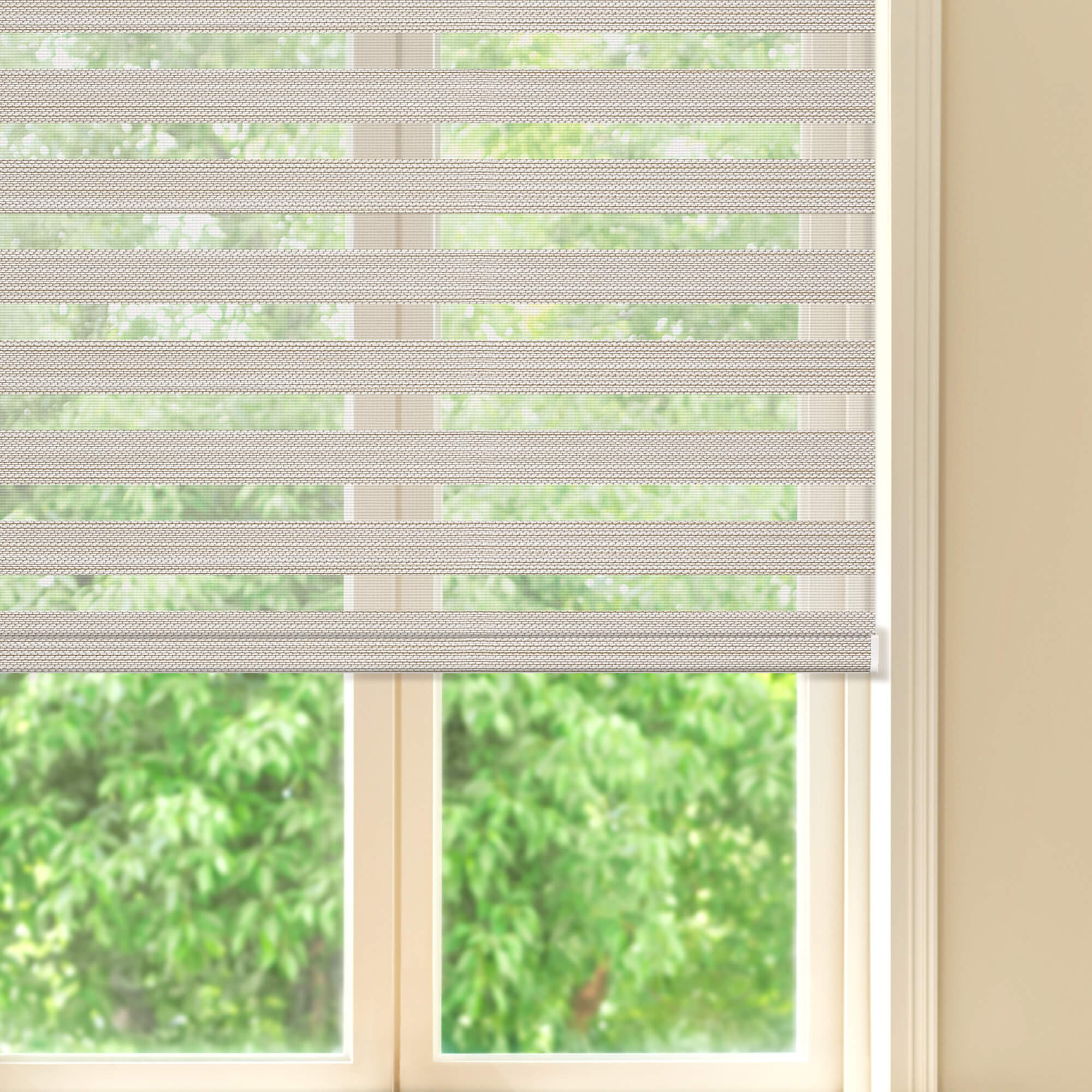 Allesin Prestige Motorized Zebra Shades