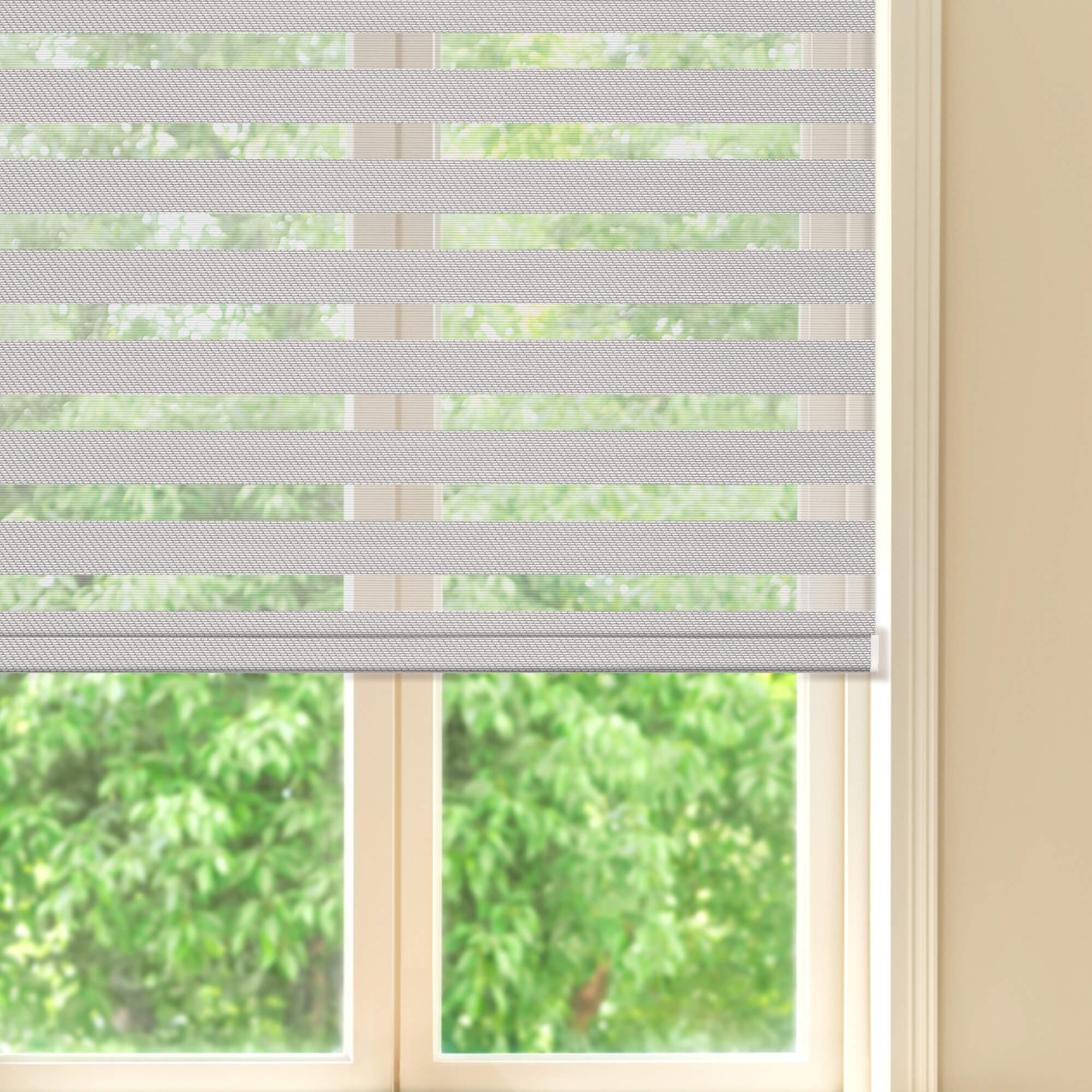 Allesin Prestige Motorized Zebra Shades