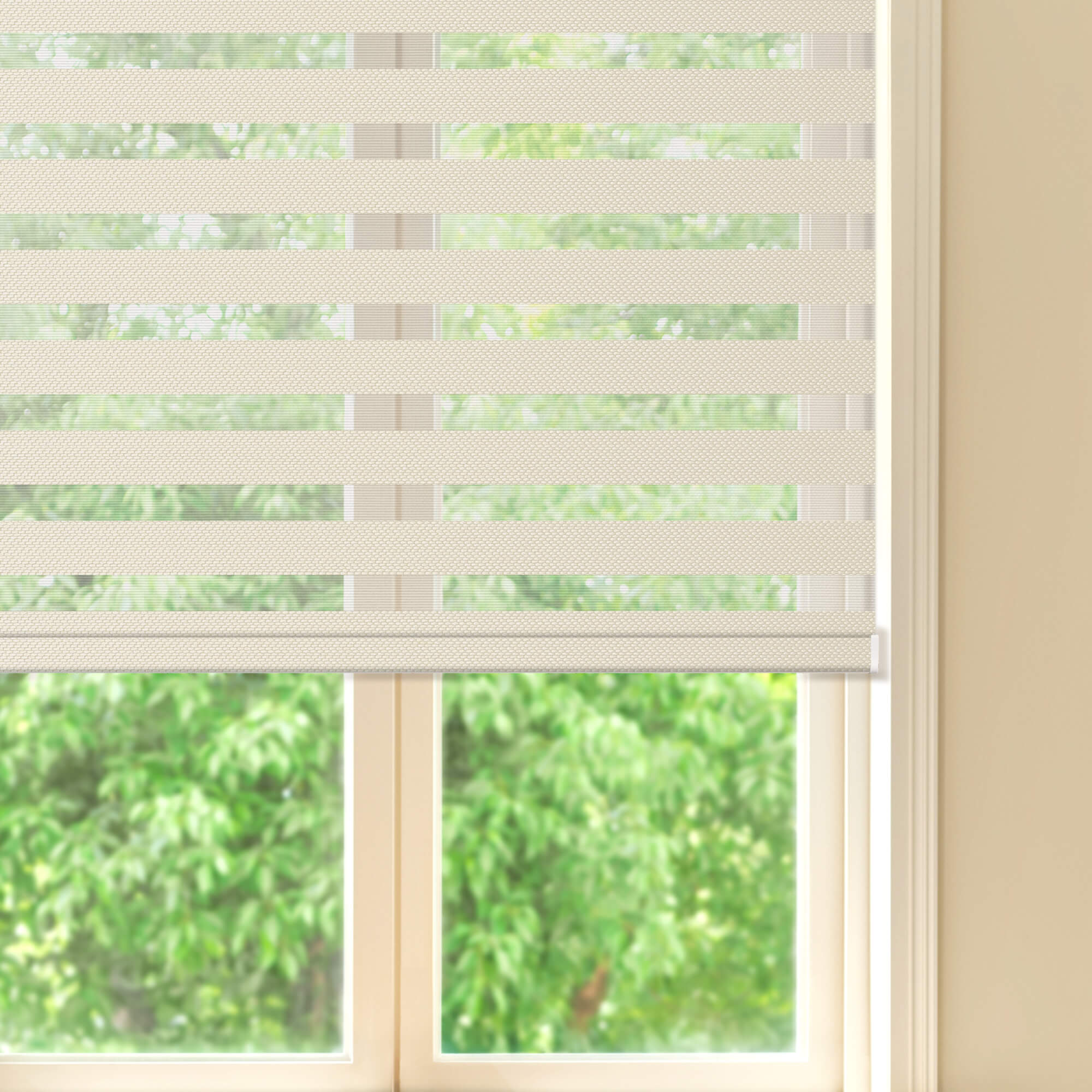 Allesin Prestige Motorized Zebra Shades