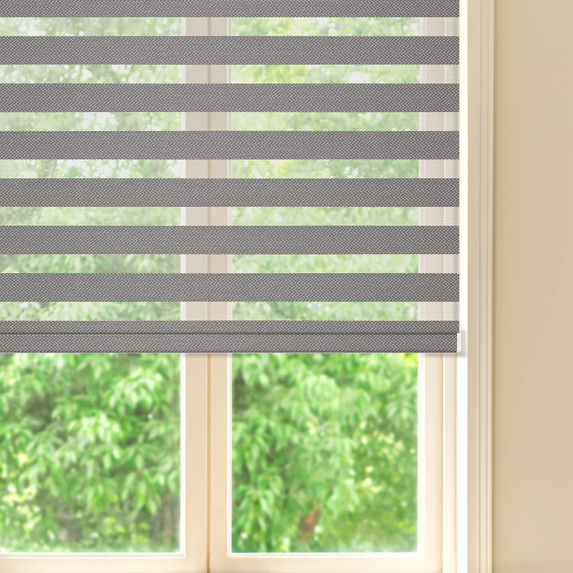 Allesin Prestige Motorized Zebra Shades