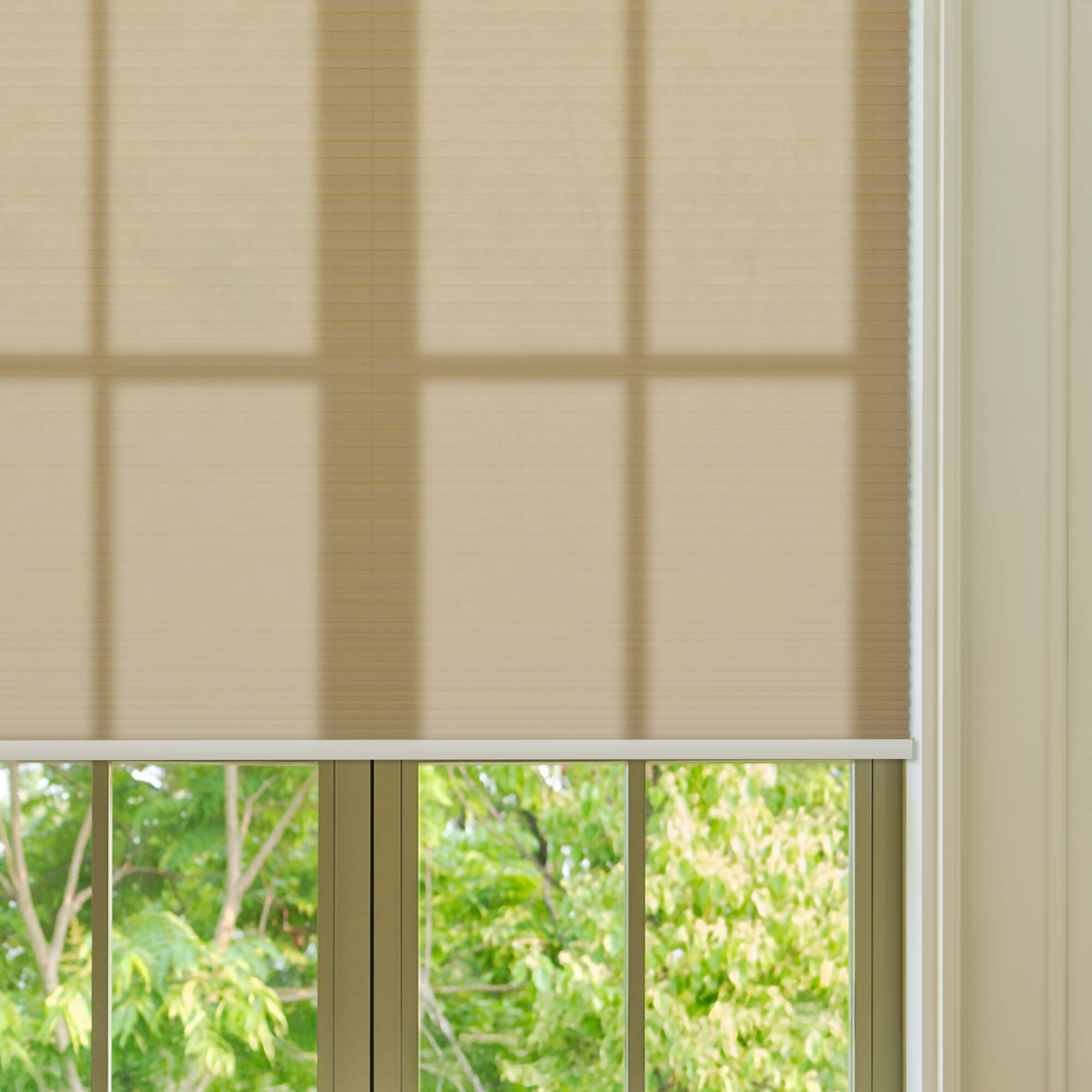 Allesin Select Motorized Light Filtering Honeycomb Shades