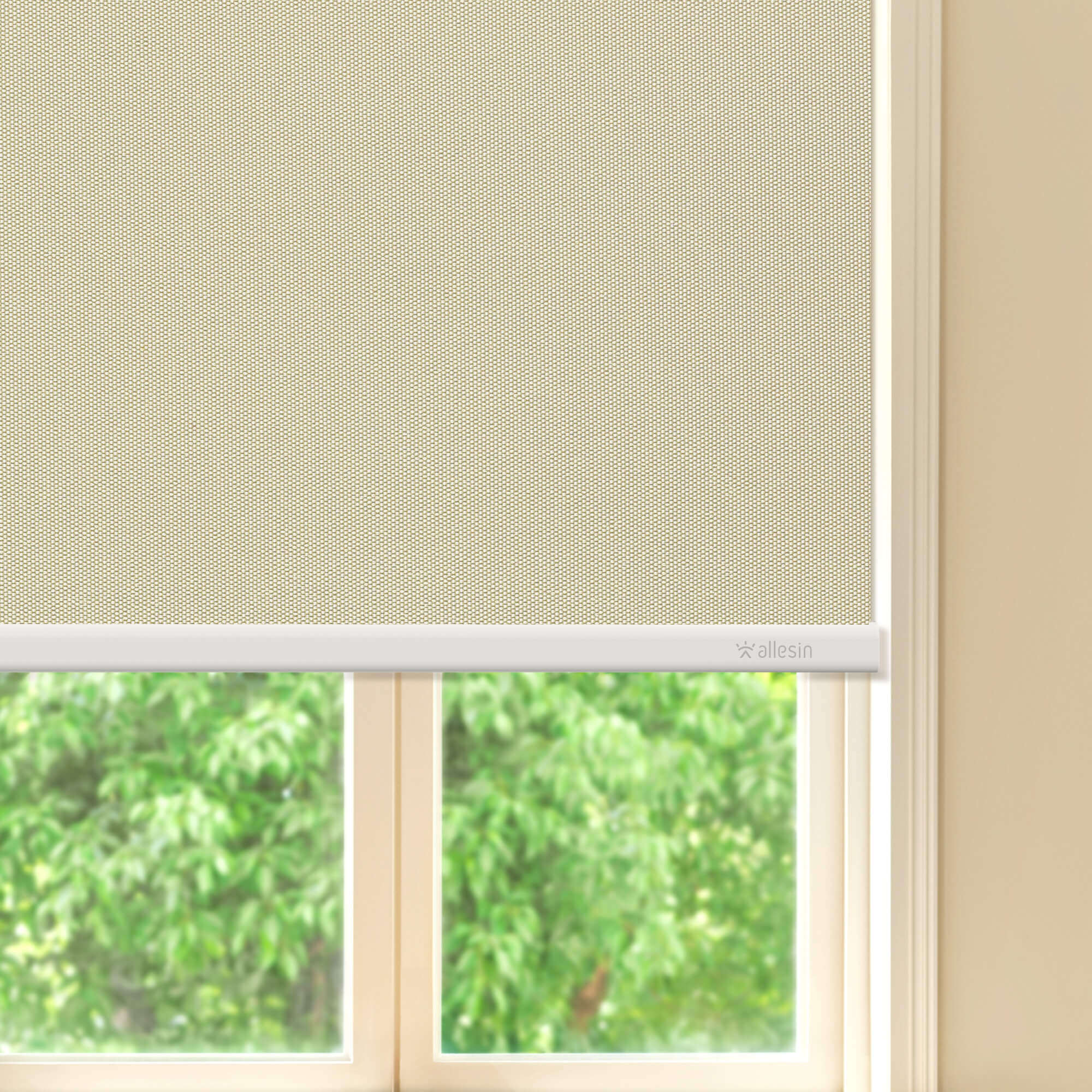 Allesin Best-Value Motorized Blackout Roller Shades