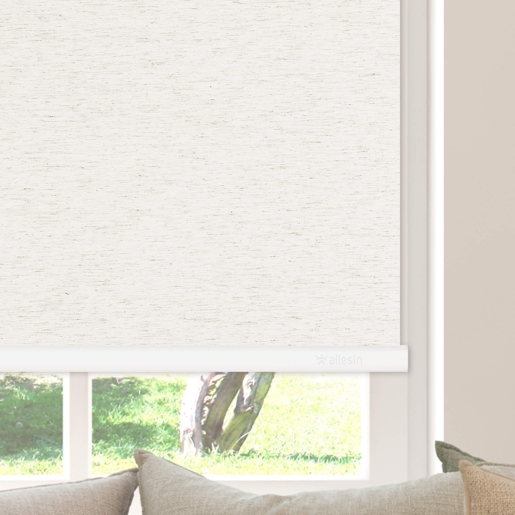 Allesin Select Motorized Blackout Roller Shades