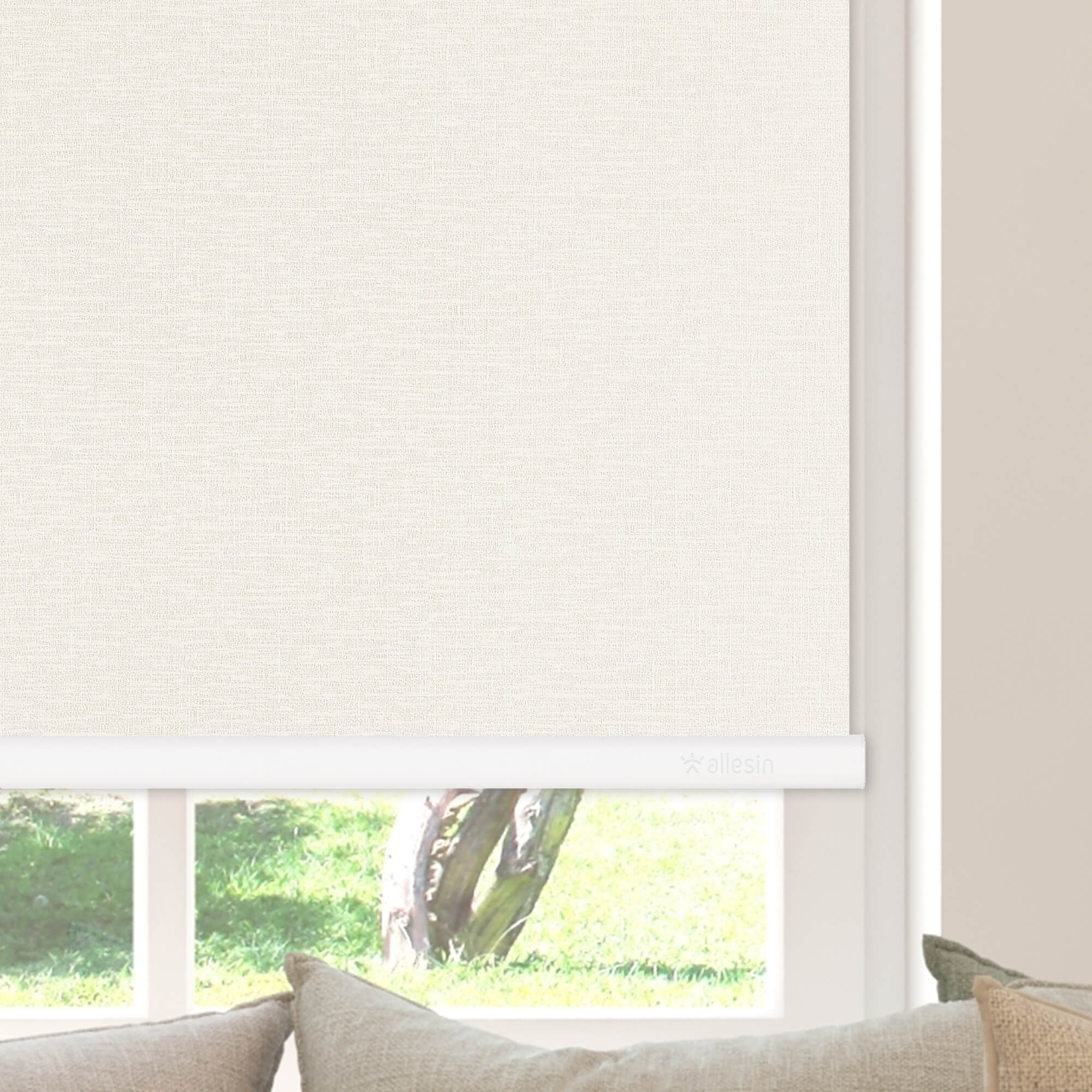 Allesin Select Motorized Blackout Roller Shades
