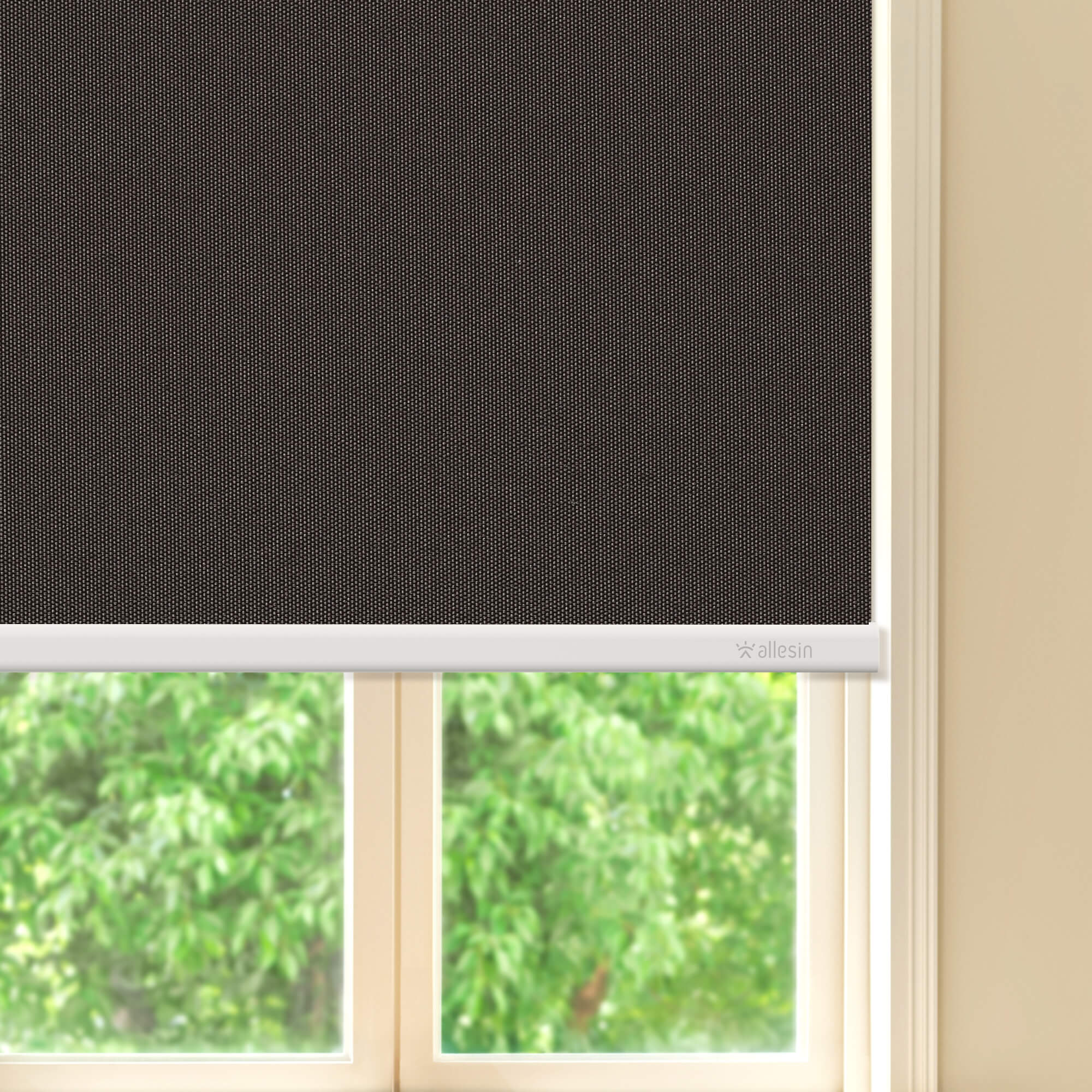 Allesin Best-Value Motorized Blackout Roller Shades