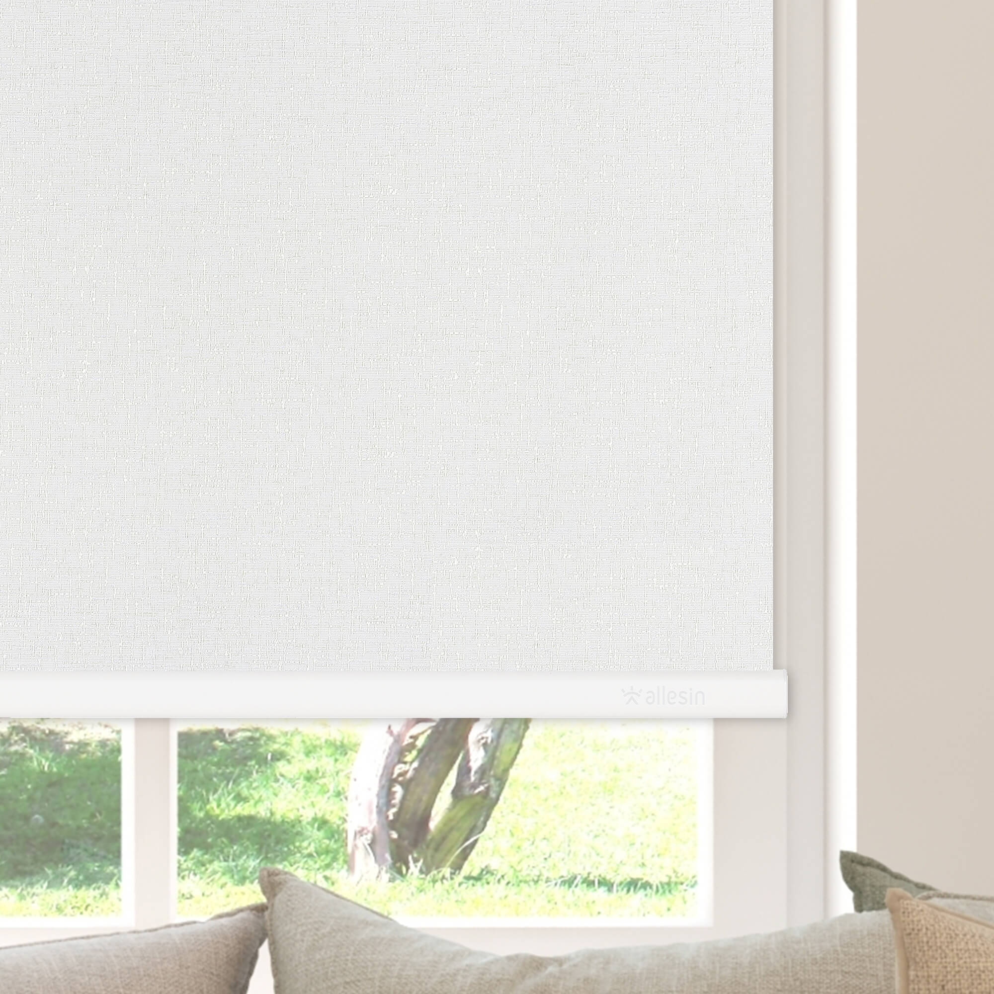 Allesin Select Motorized Blackout Roller Shades