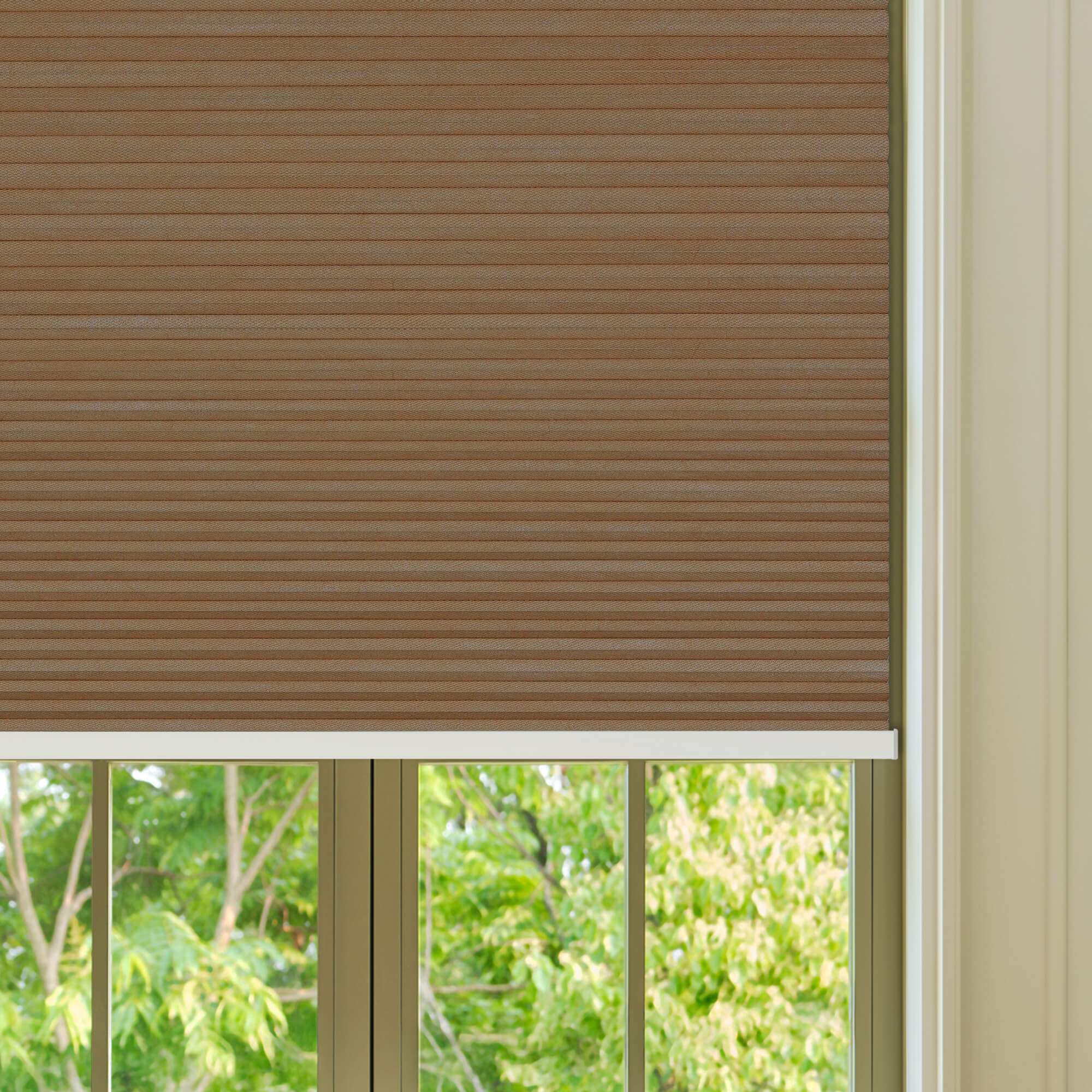 Allesin Select Motorized Blackout Honeycomb Shades