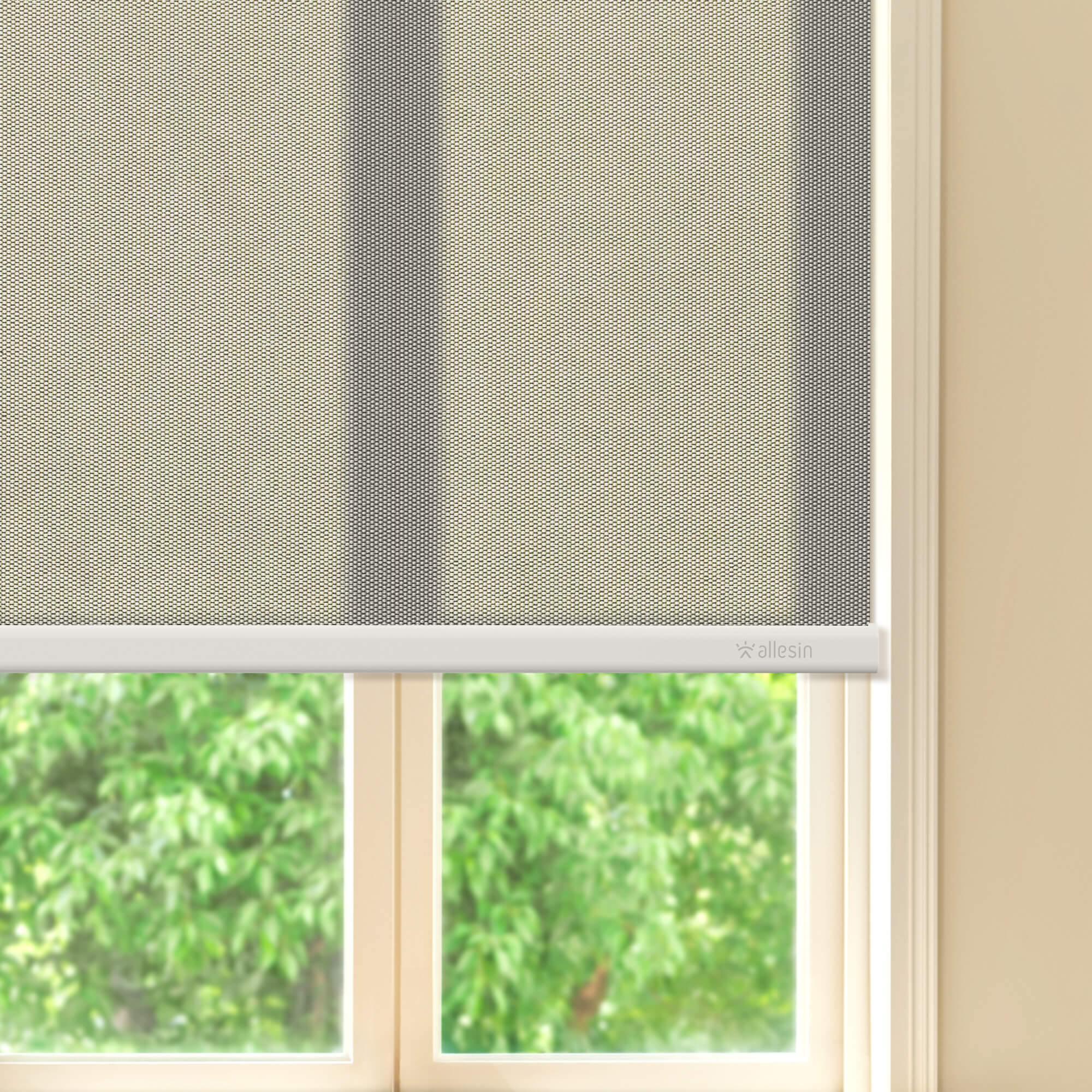 Allesin Best-Value Motorized Light Filtering Roller Shades