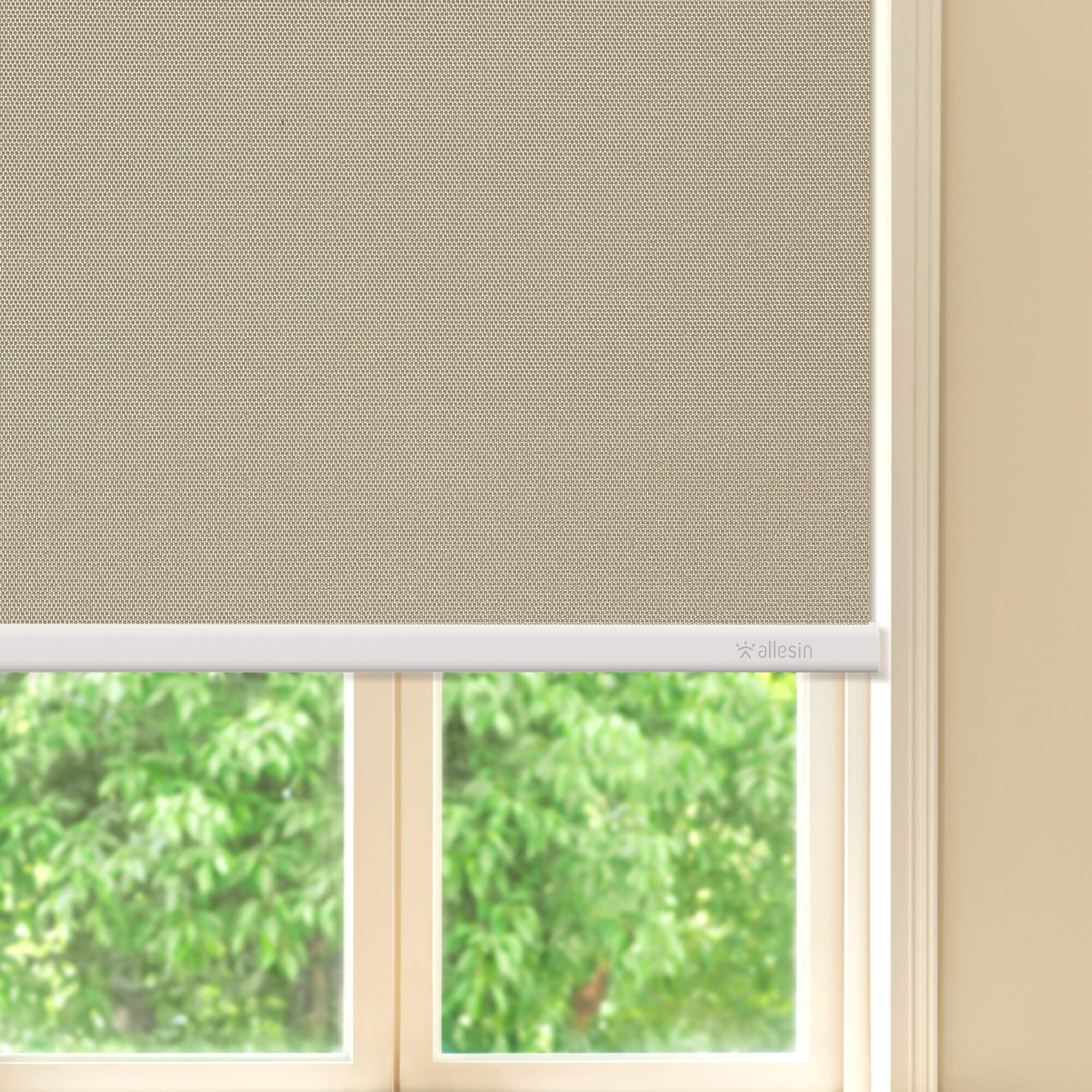 Allesin Best-Value Motorized Blackout Roller Shades