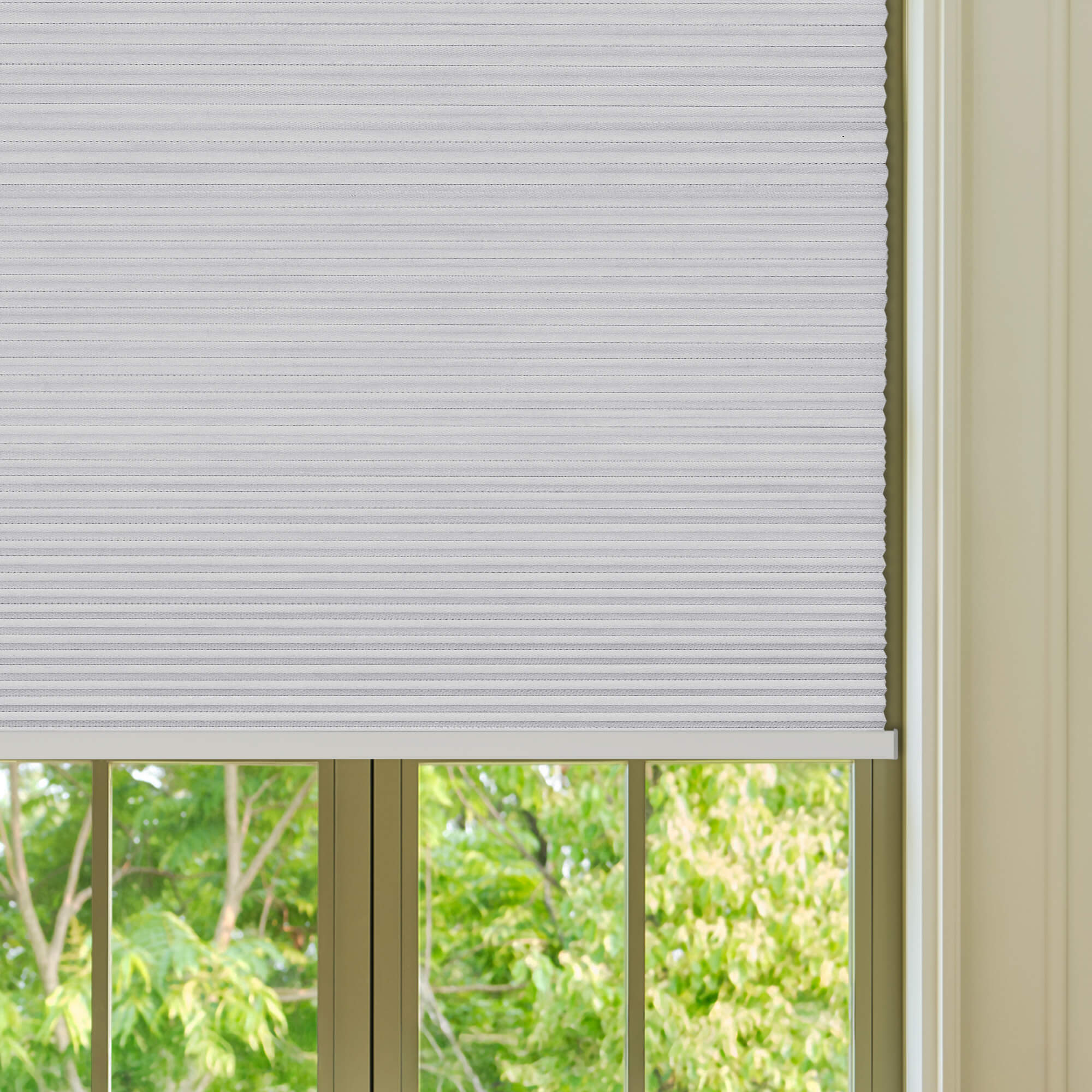 Allesin Select Motorized Blackout Honeycomb Shades