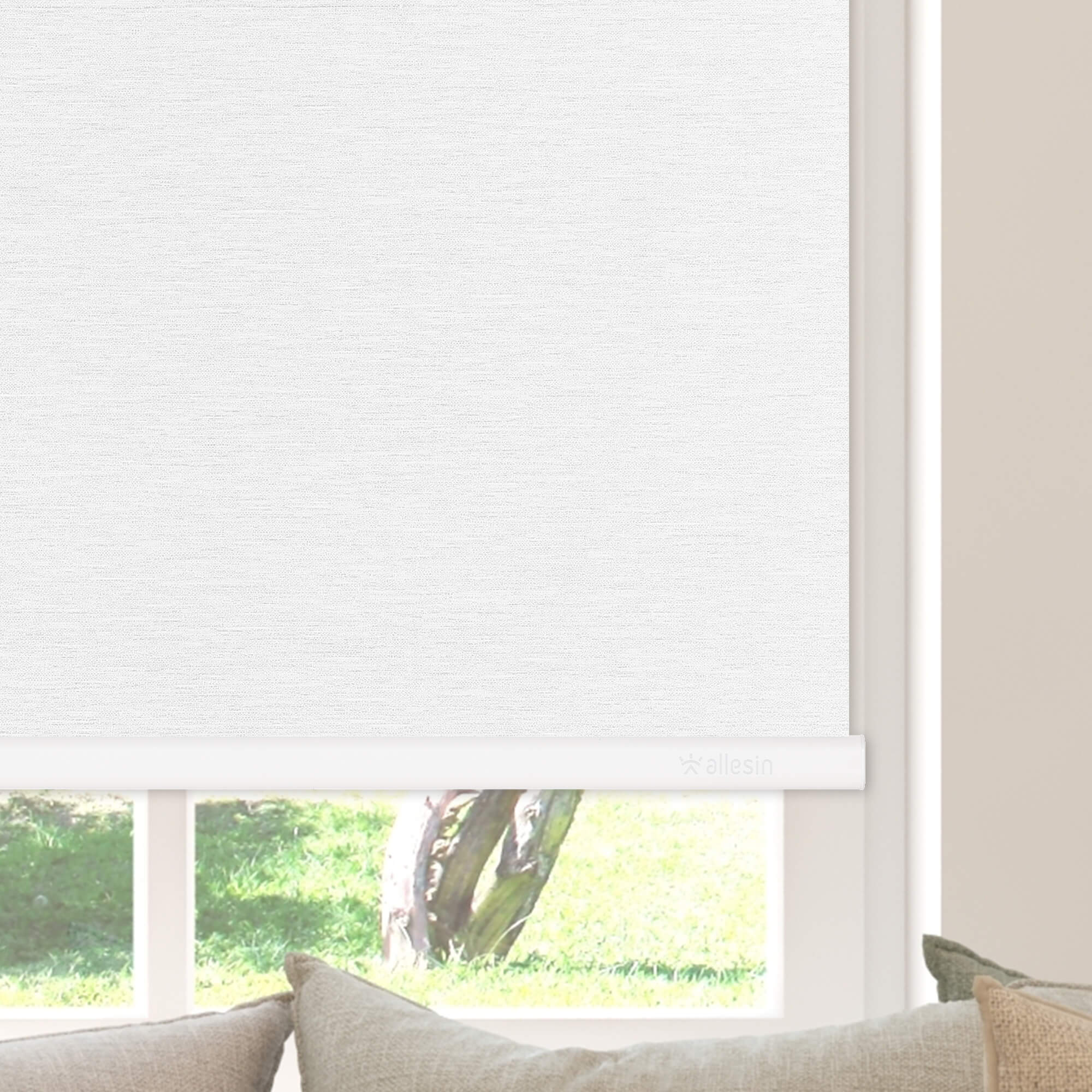 Allesin Select Motorized Blackout Roller Shades