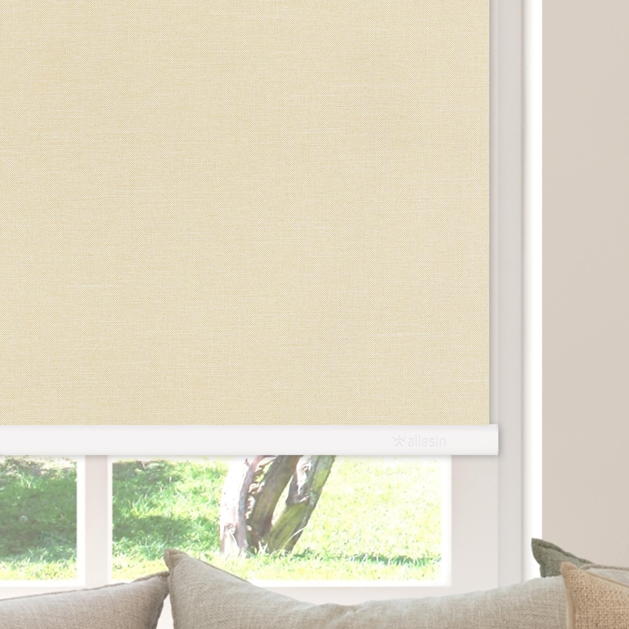 Allesin Select Motorized Blackout Roller Shades
