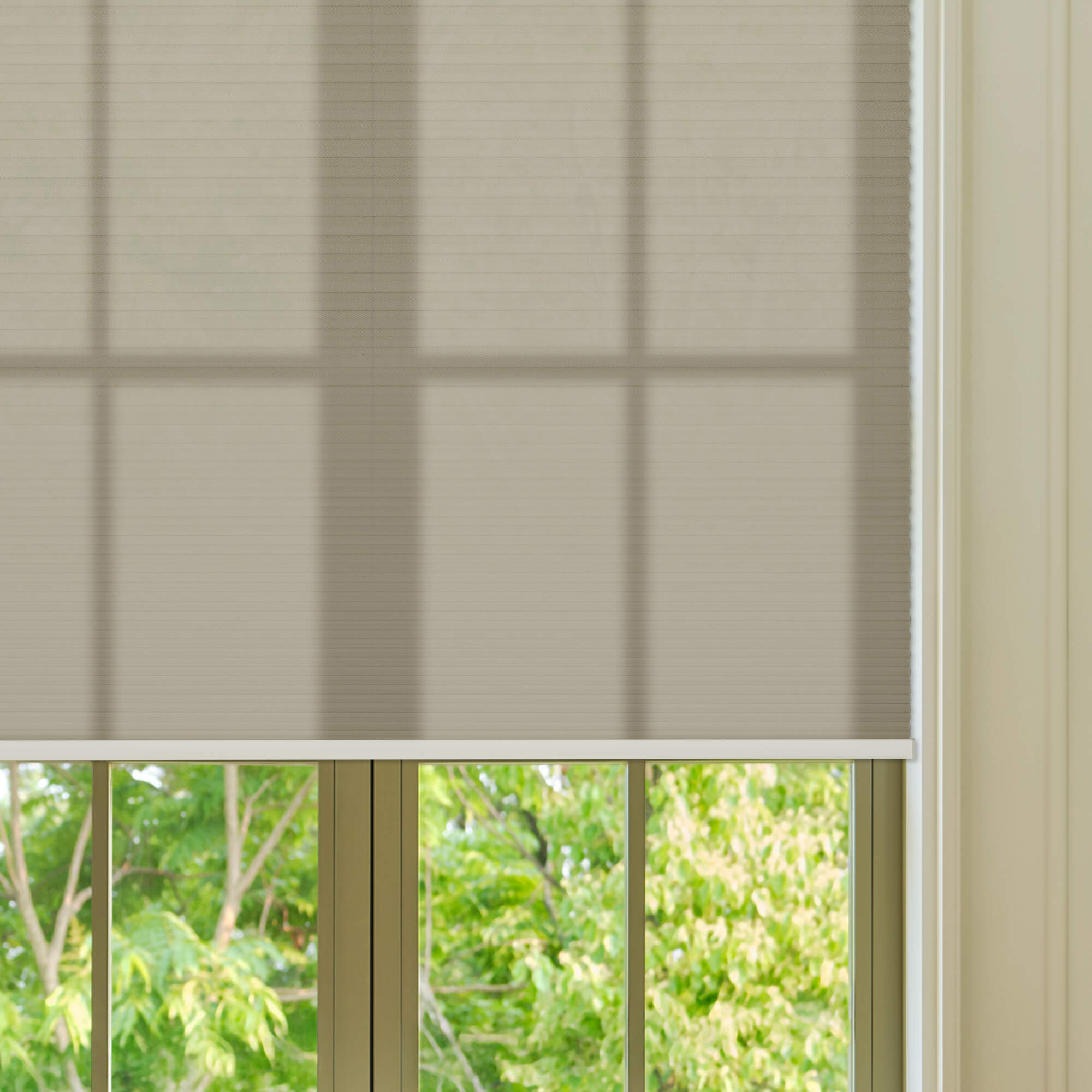 Allesin Select Motorized Light Filtering Honeycomb Shades