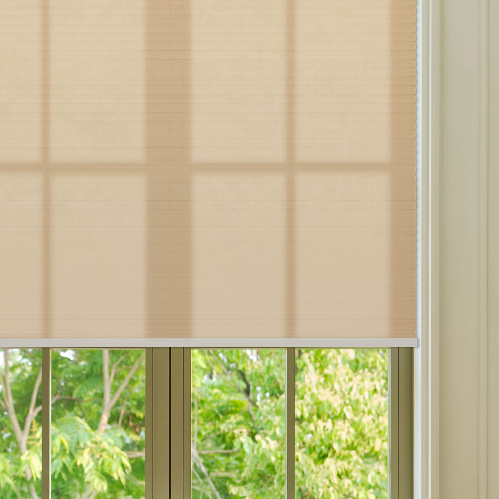Allesin Select Motorized Light Filtering Honeycomb Shades
