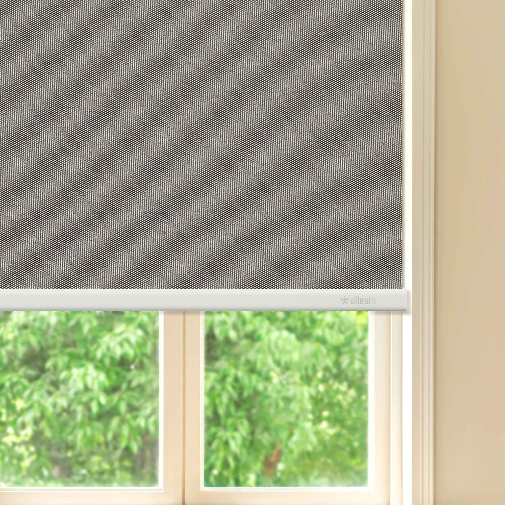 Allesin Best-Value Motorized Blackout Roller Shades