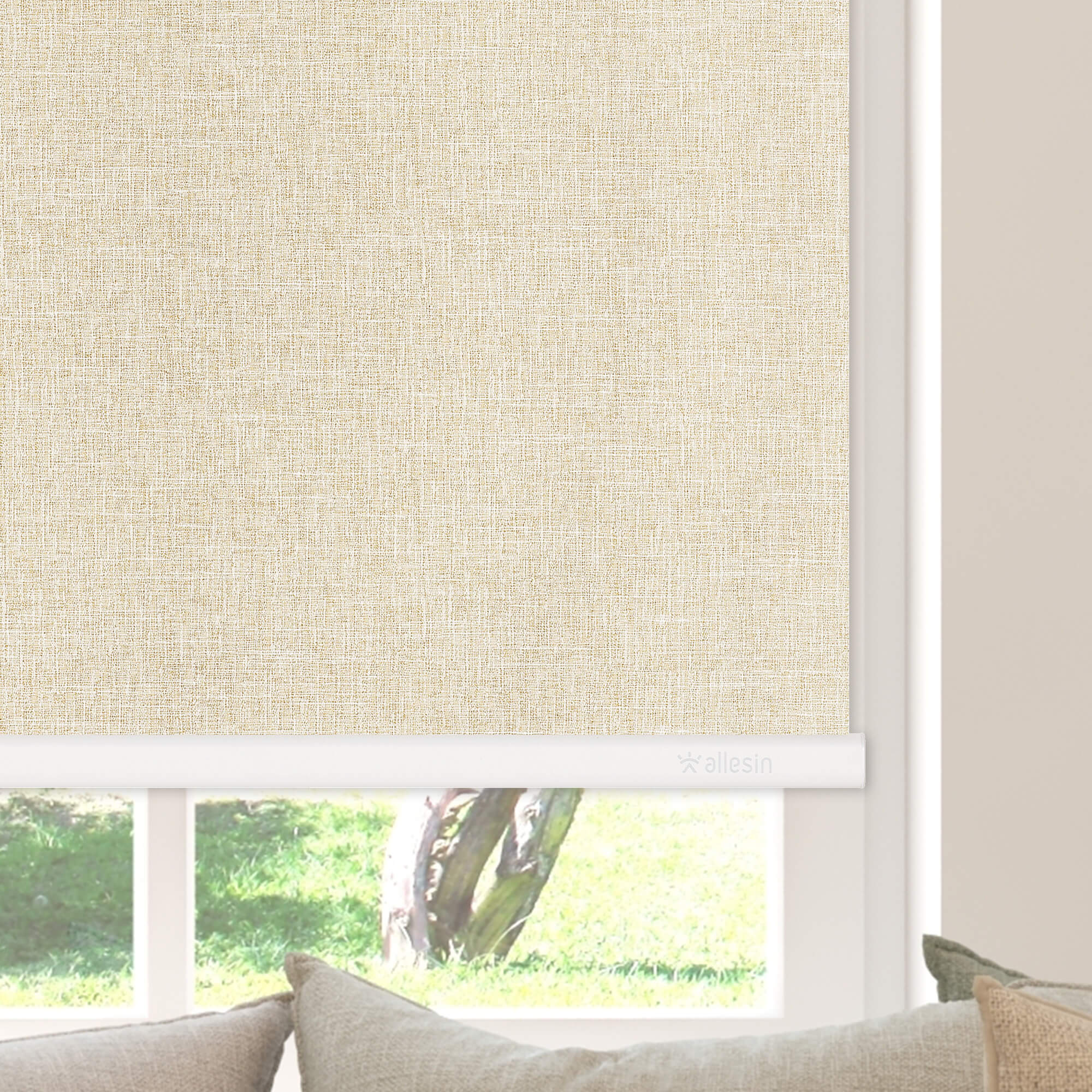 Allesin Select Motorized Blackout Roller Shades