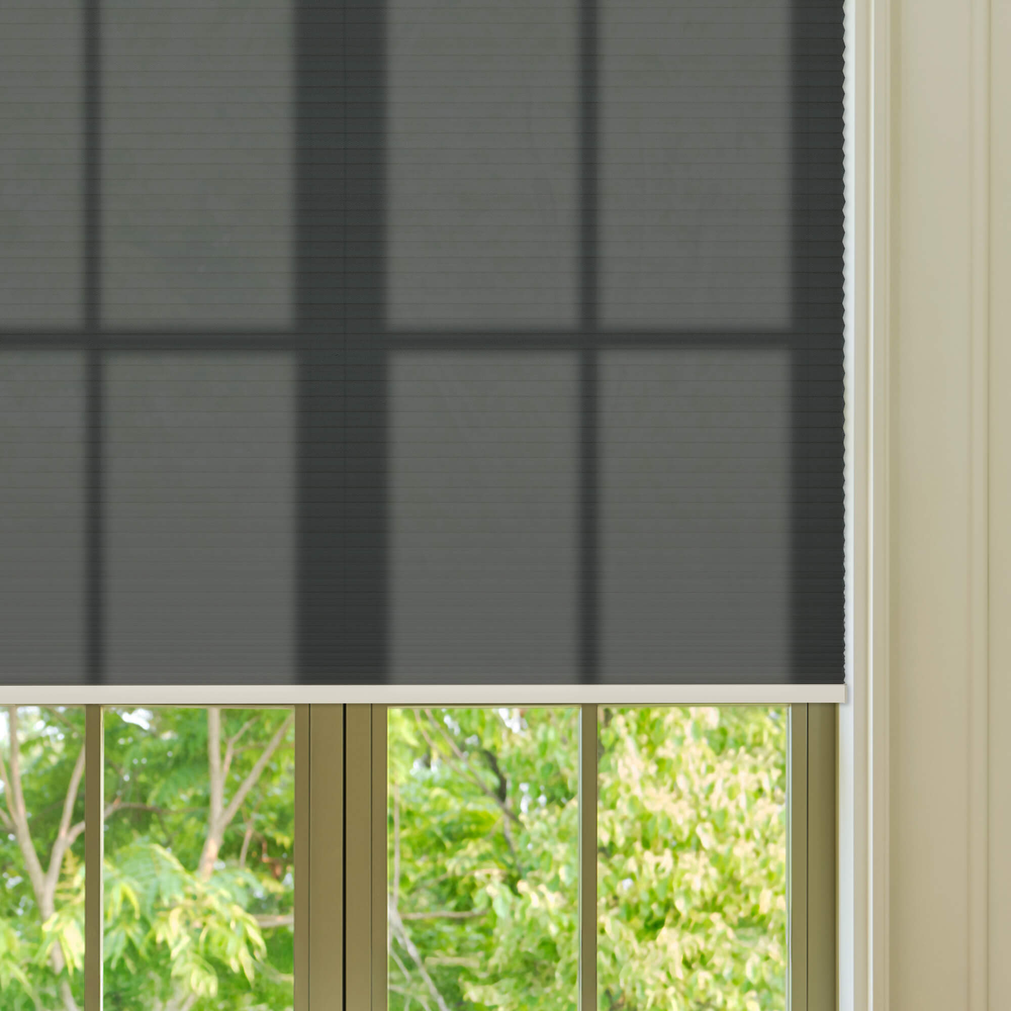 Allesin Select Motorized Light Filtering Honeycomb Shades