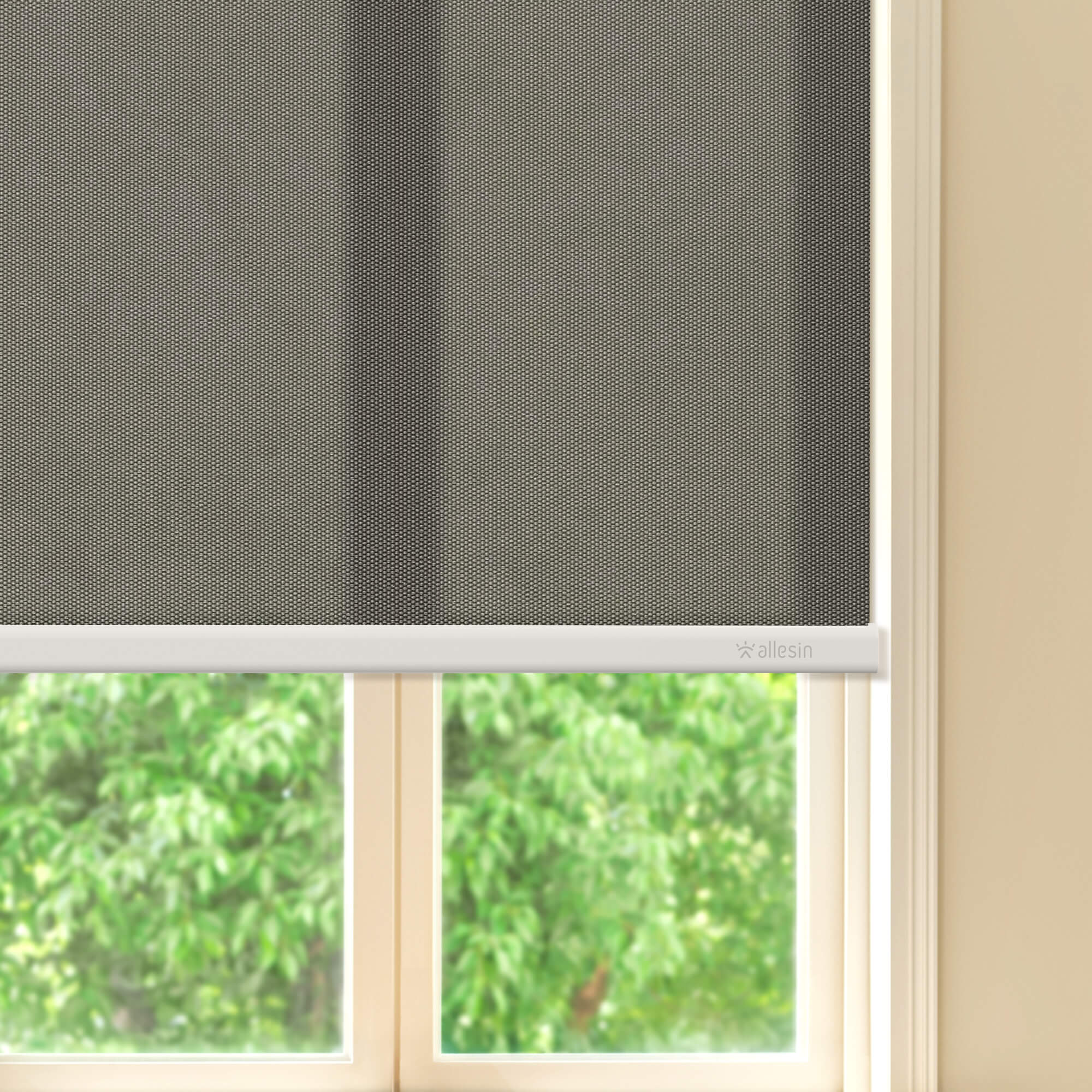 Allesin Best-Value Motorized Light Filtering Roller Shades