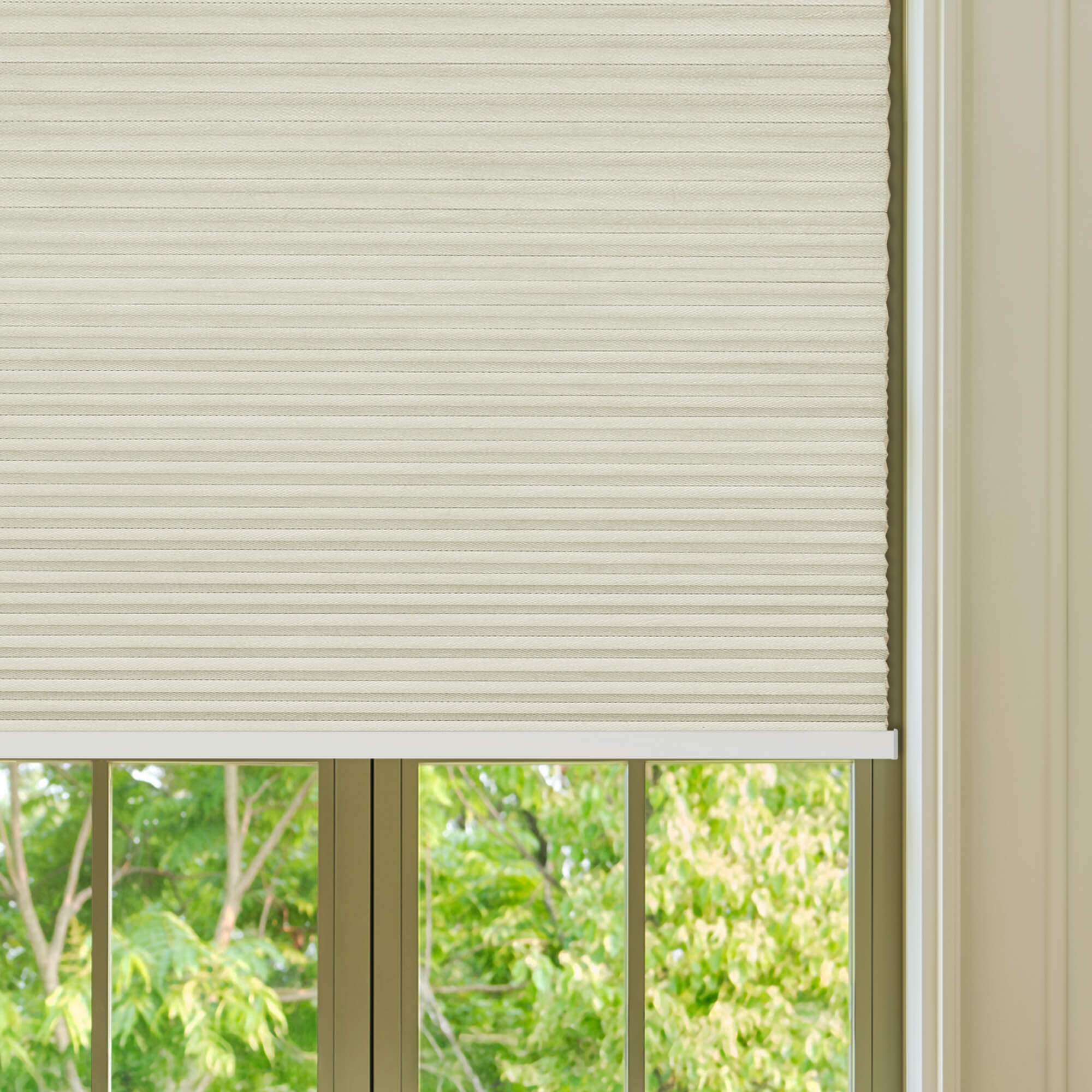Allesin Select Motorized Blackout Honeycomb Shades