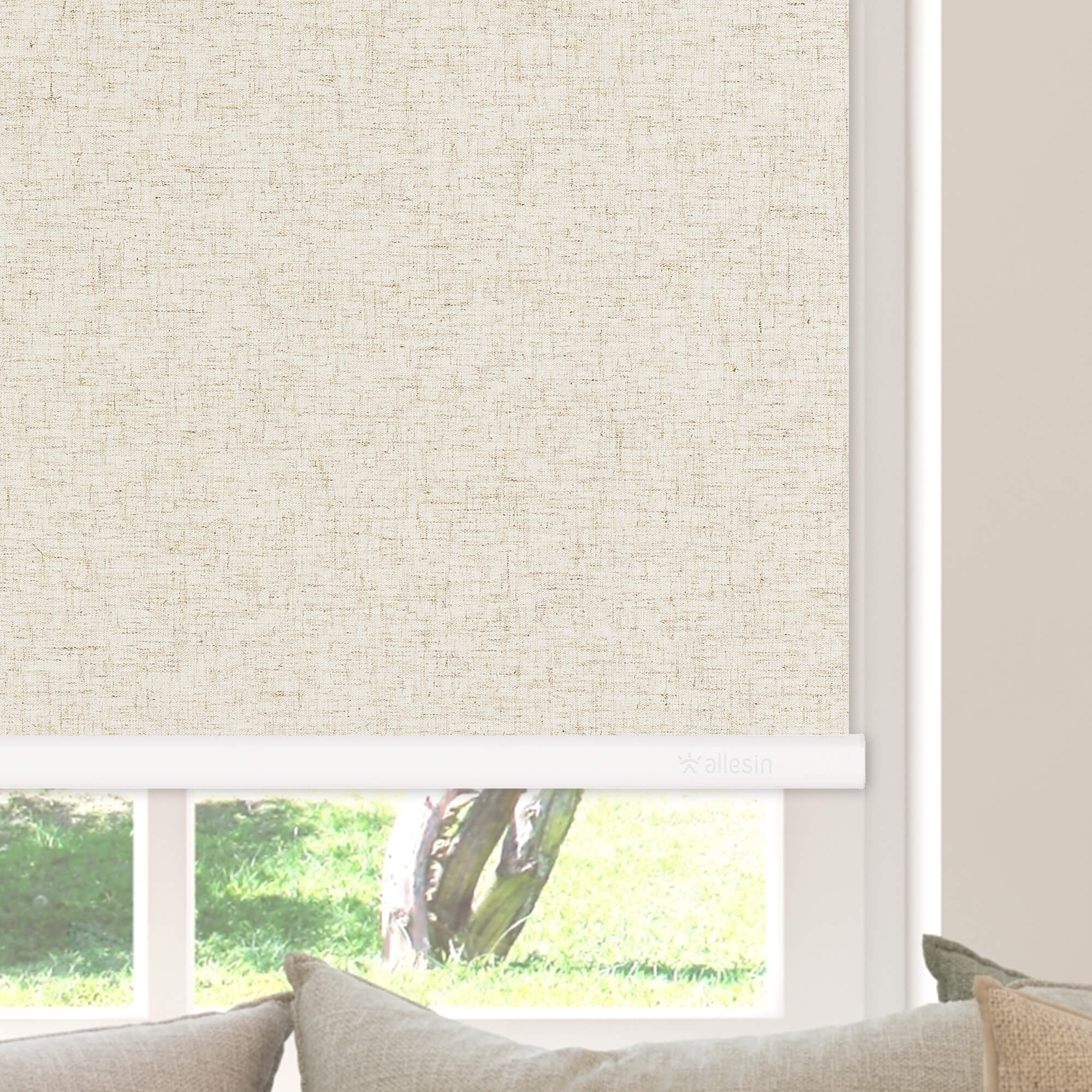Allesin Select Motorized Blackout Roller Shades