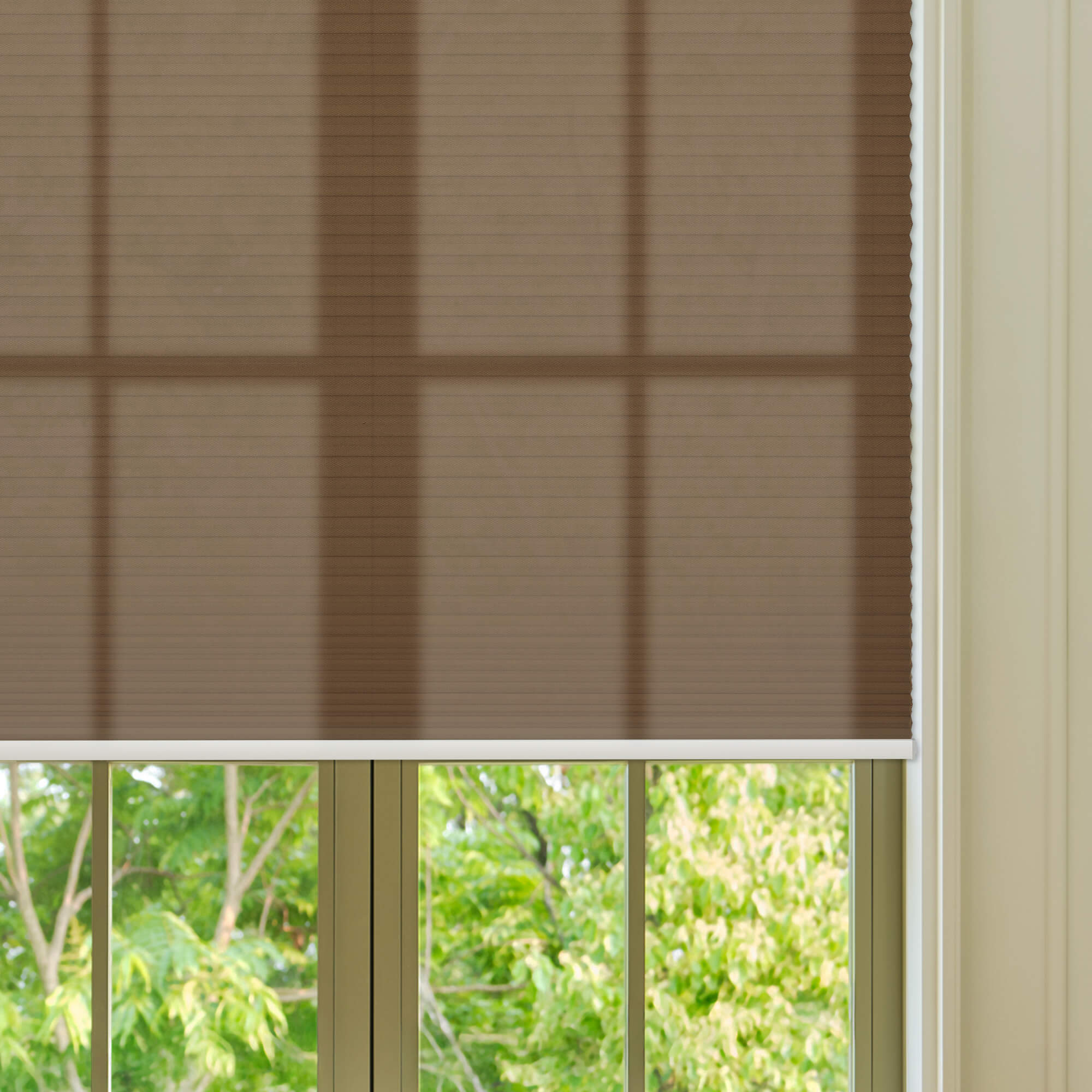 Allesin Select Motorized Light Filtering Honeycomb Shades