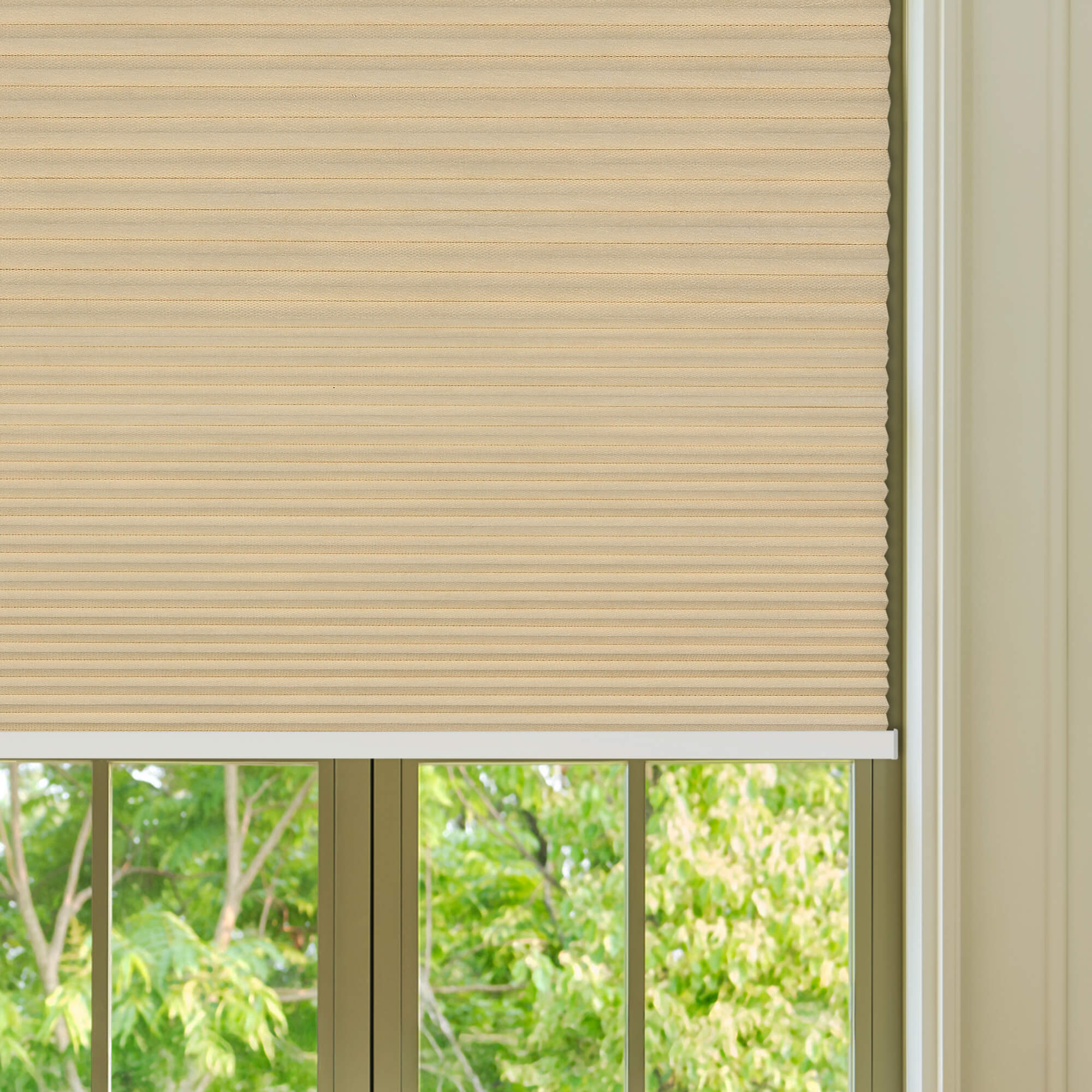 Allesin Select Motorized Blackout Honeycomb Shades