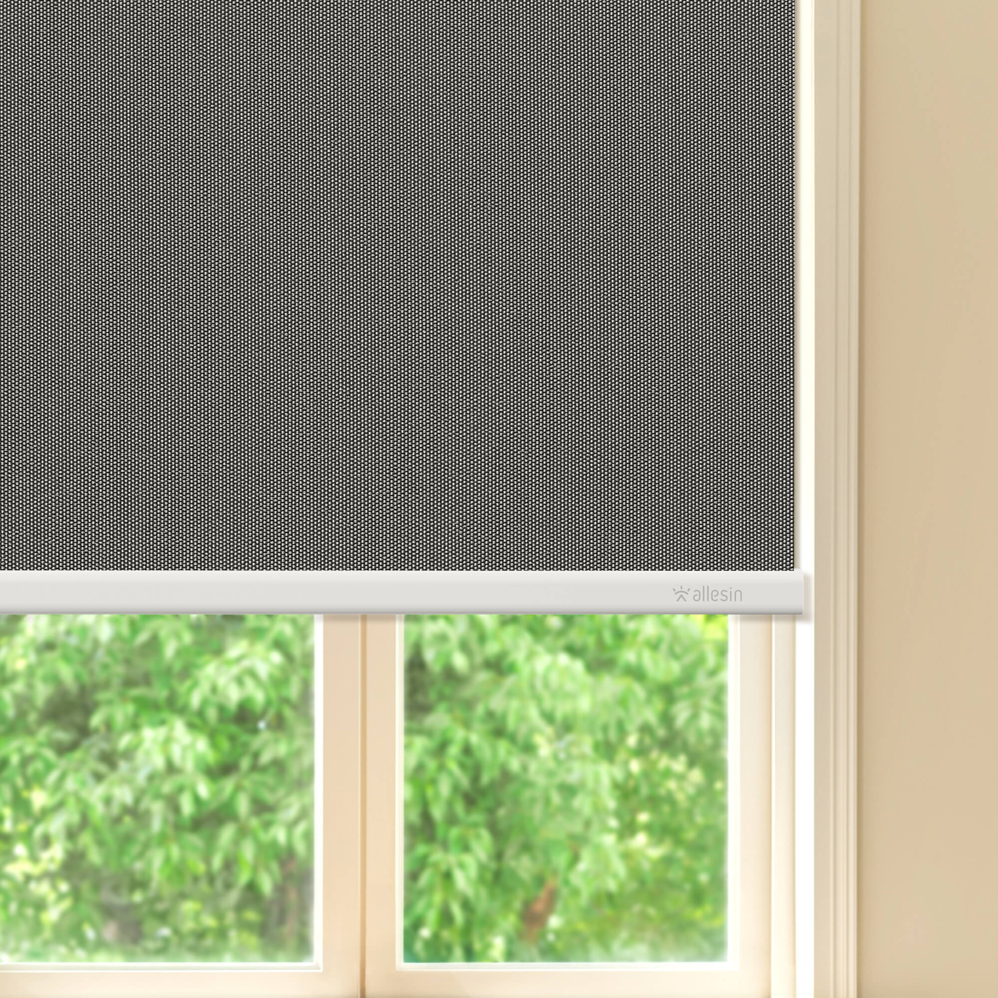 Allesin Best-Value Motorized Blackout Roller Shades