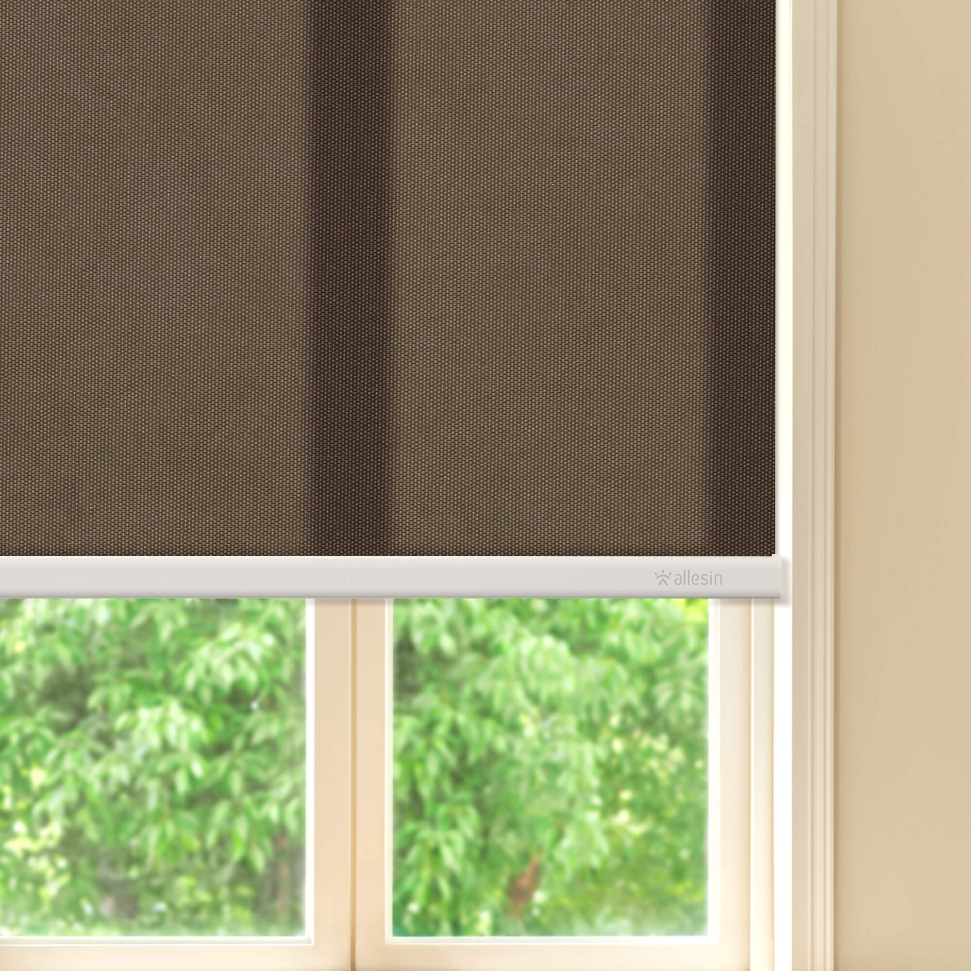 Allesin Best-Value Motorized Light Filtering Roller Shades