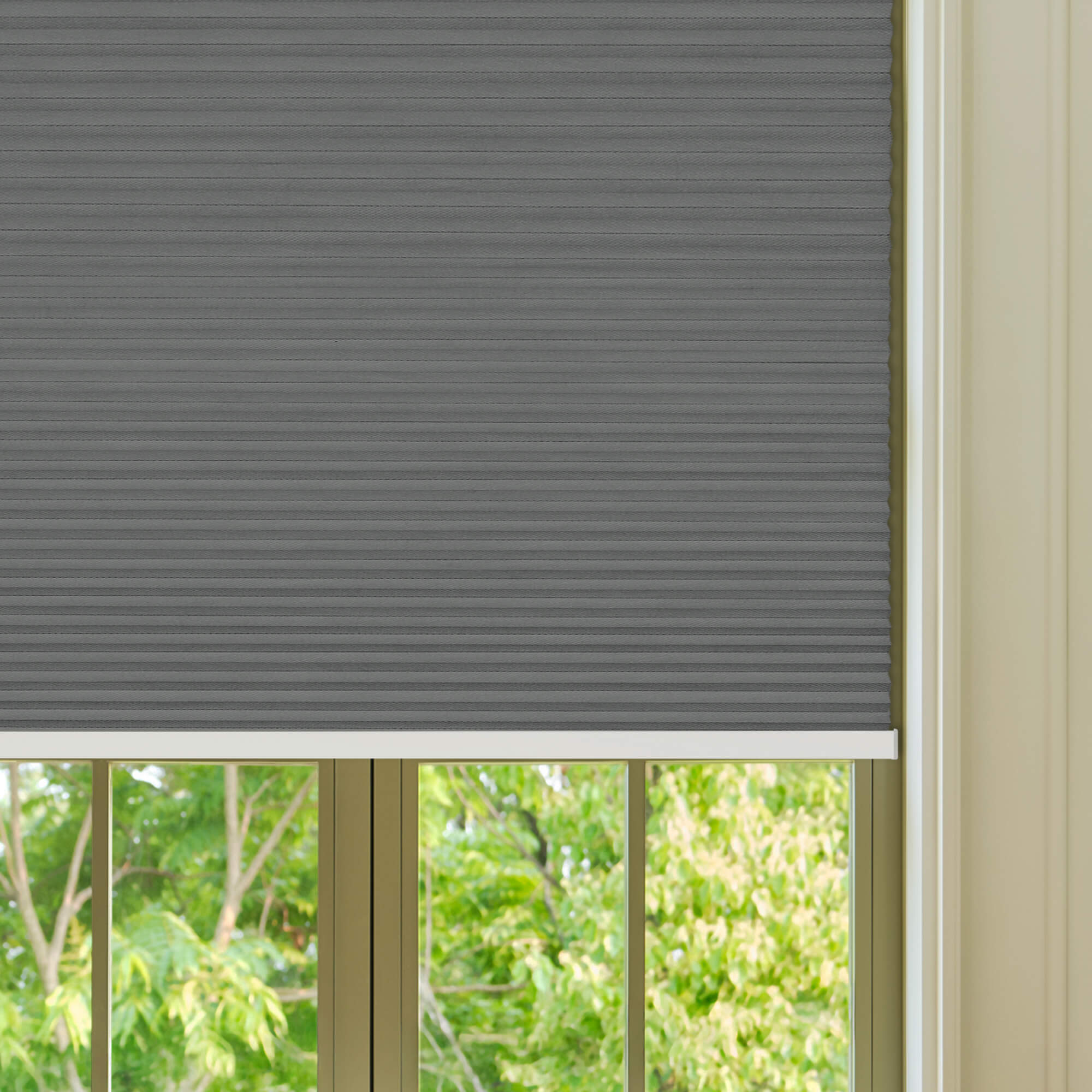 Allesin Select Motorized Blackout Honeycomb Shades