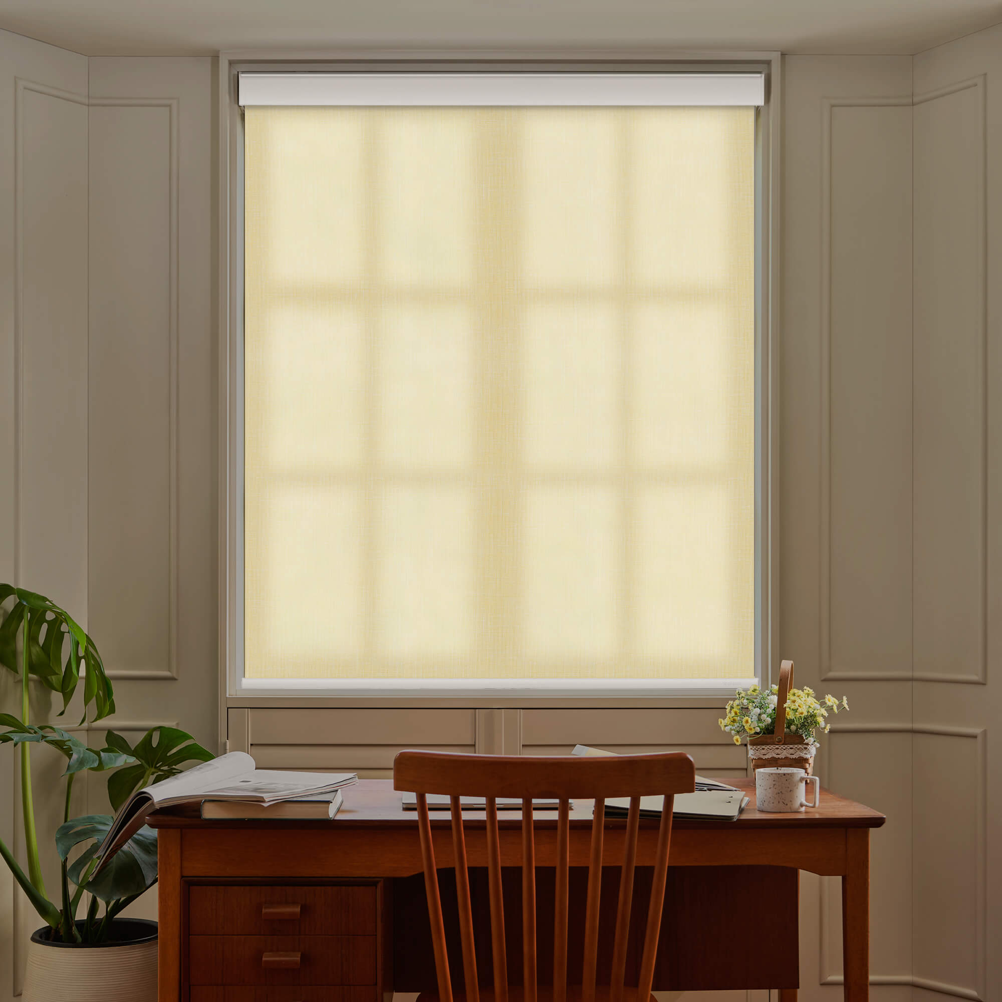 Allesin Motorized Light Filtering Roller Shades