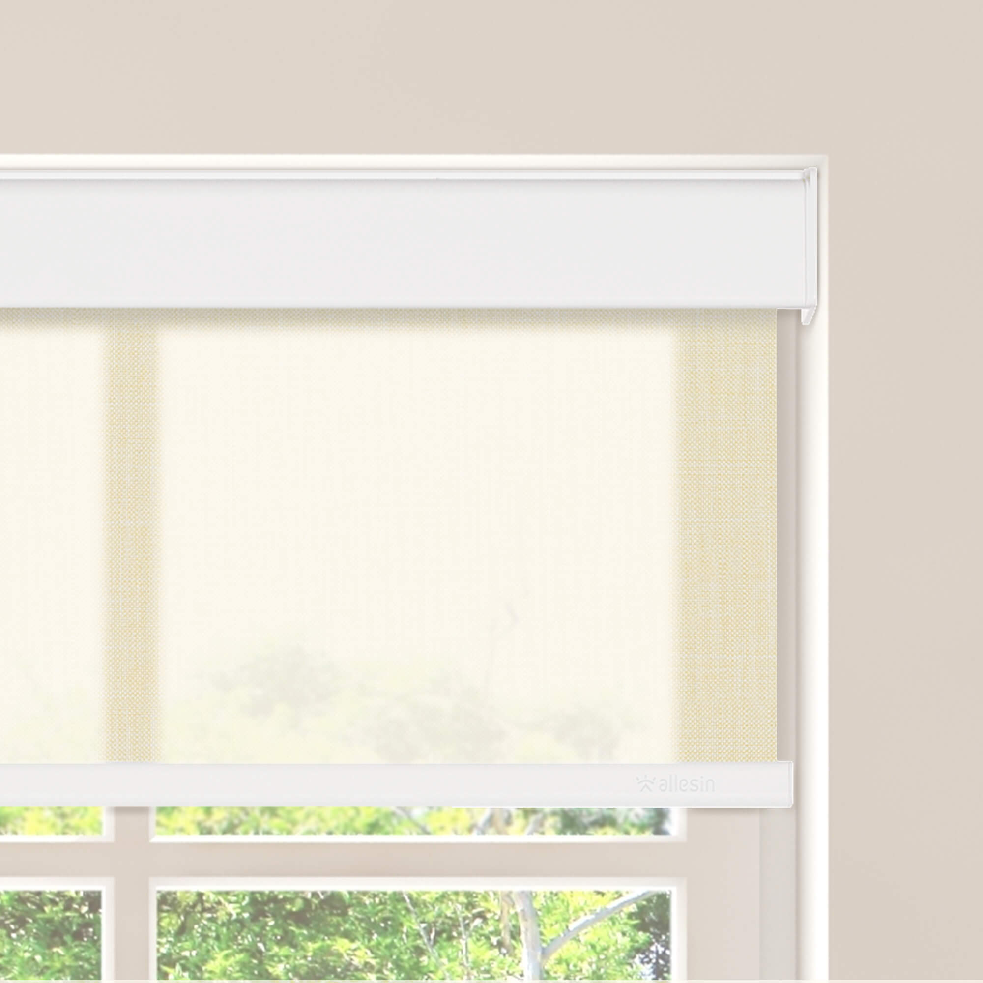Allesin Motorized Light Filtering Roller Shades