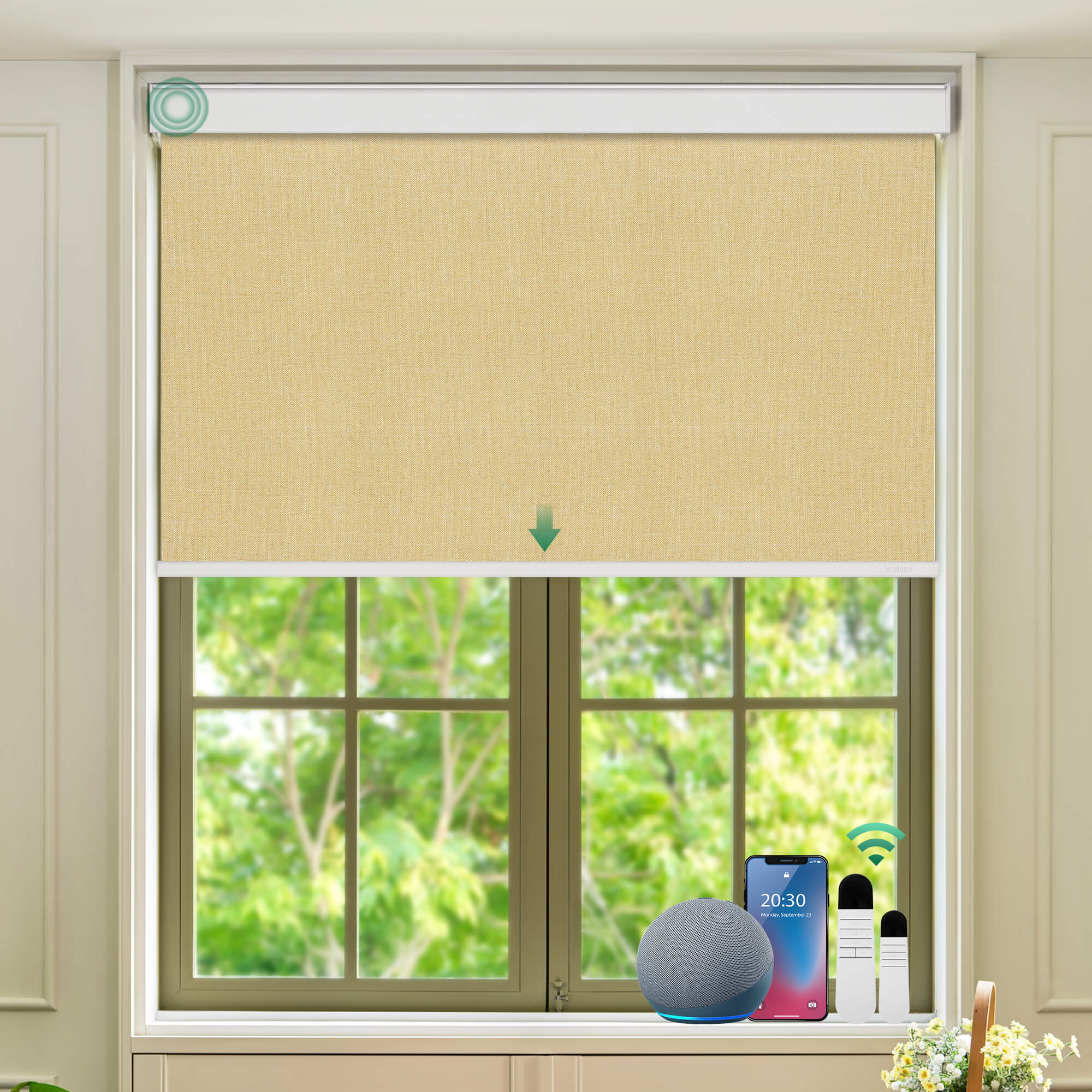 Allesin Select Motorized Blackout Roller Shades