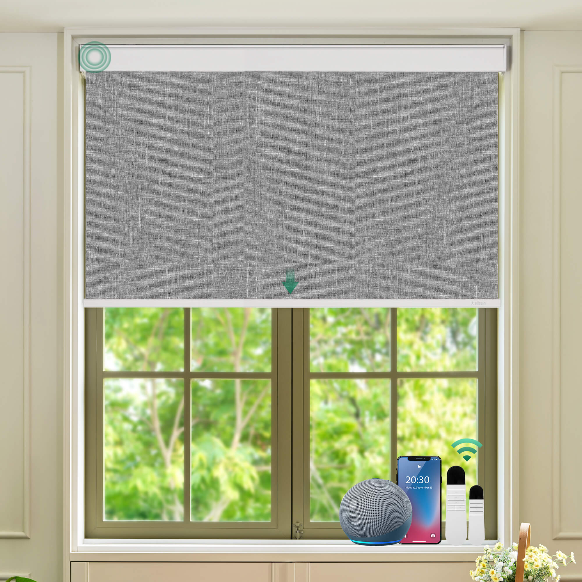 Allesin Select Motorized Blackout Roller Shades