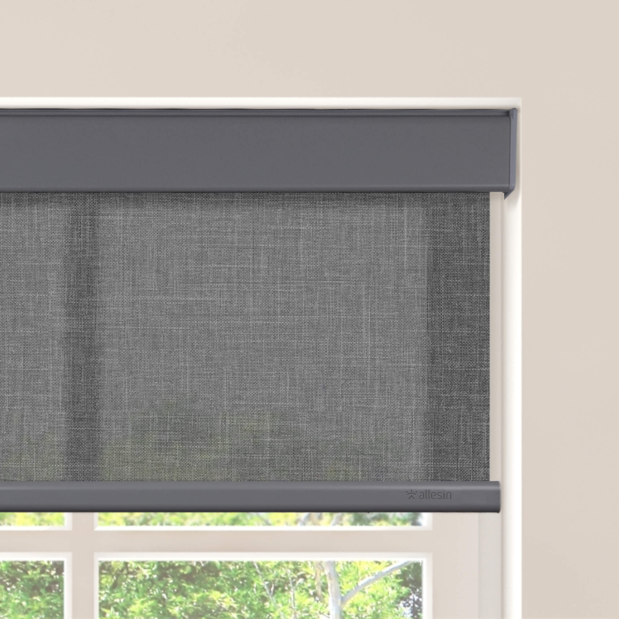 Allesin Motorized Light Filtering Roller Shades