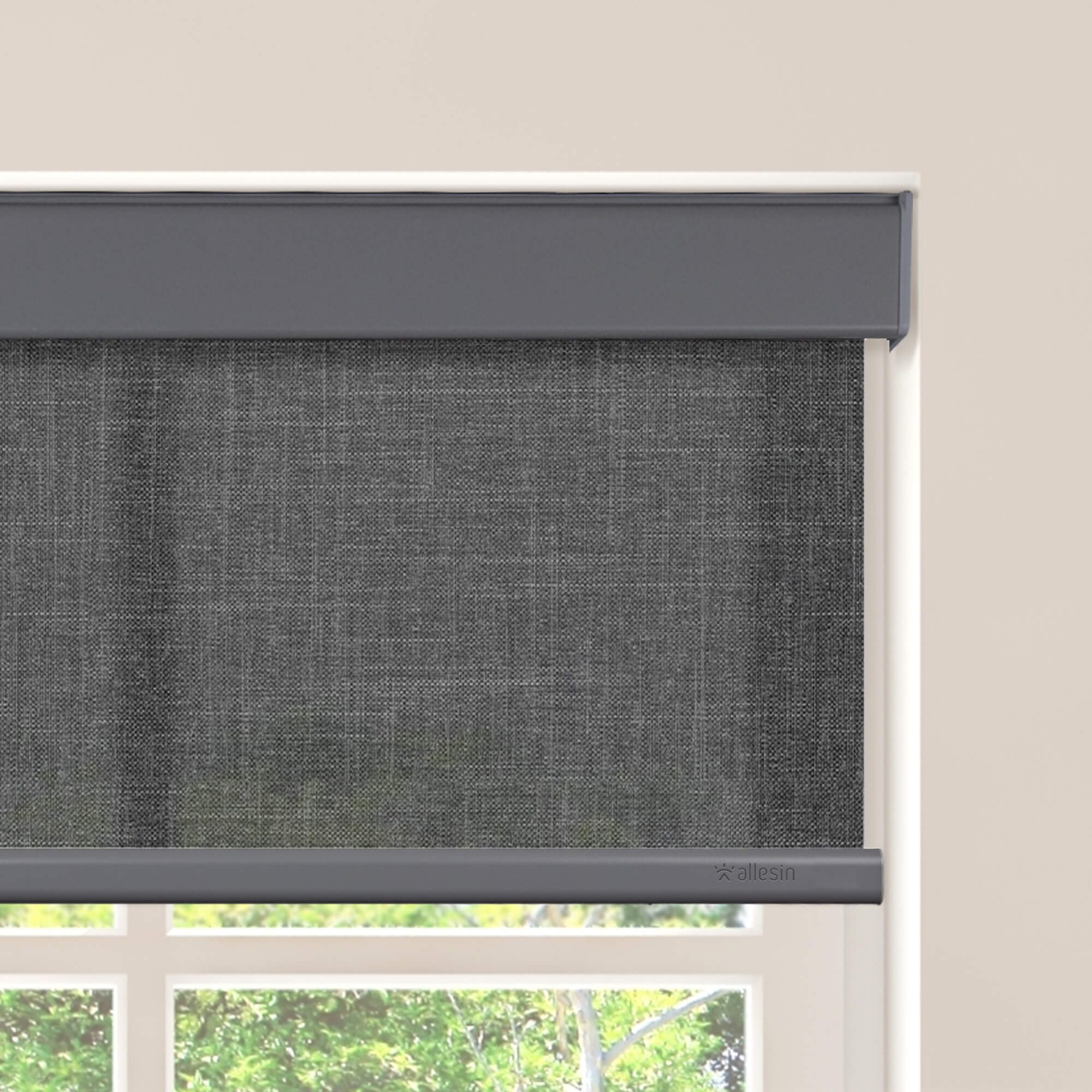 Allesin Motorized Light Filtering Roller Shades