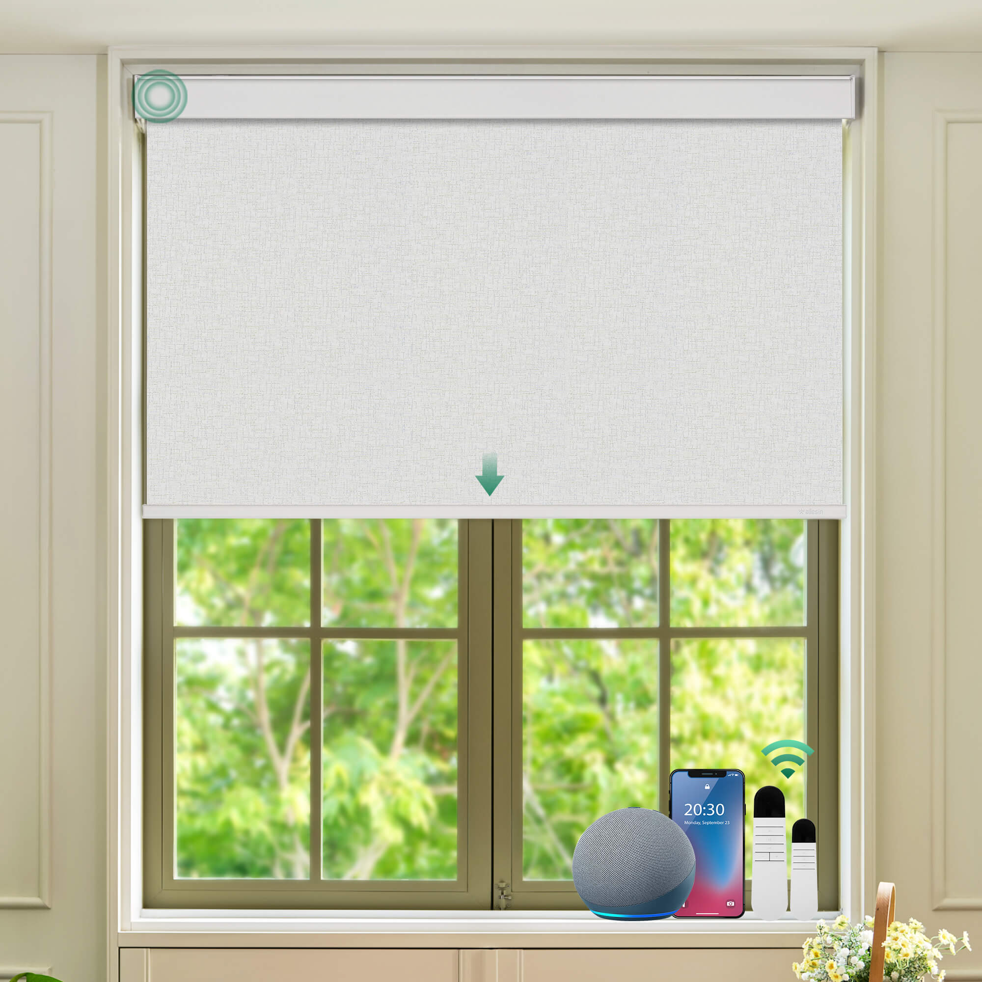 Allesin Select Motorized Blackout Roller Shades