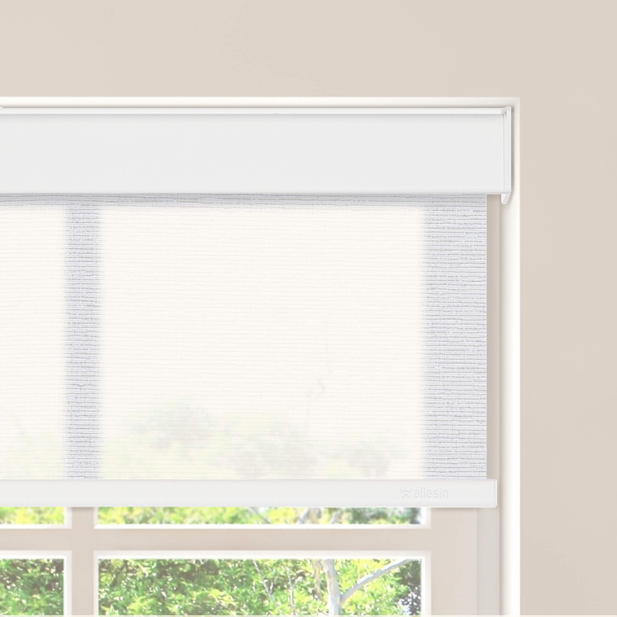 Allesin Motorized Light Filtering Roller Shades