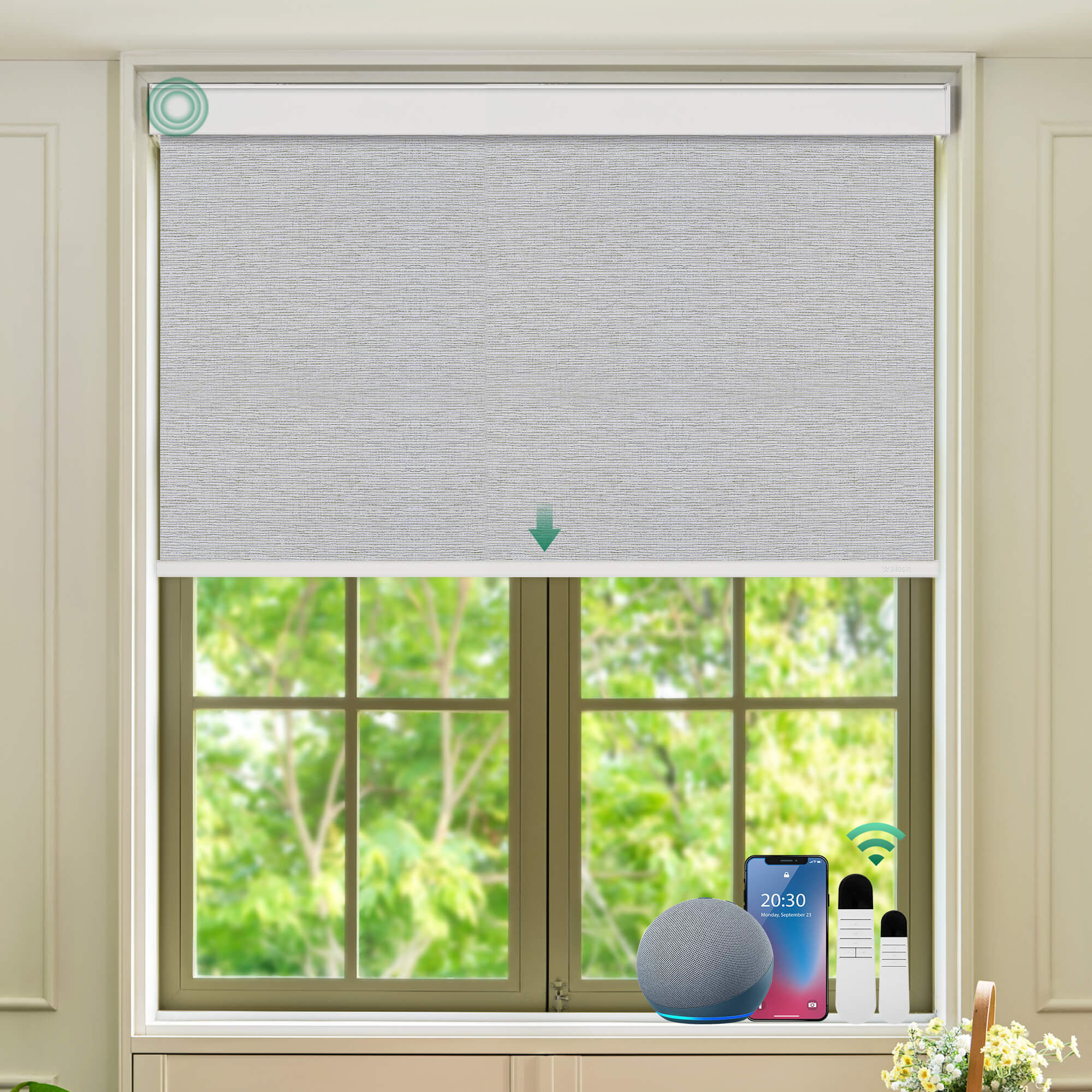 Allesin Select Motorized Blackout Roller Shades