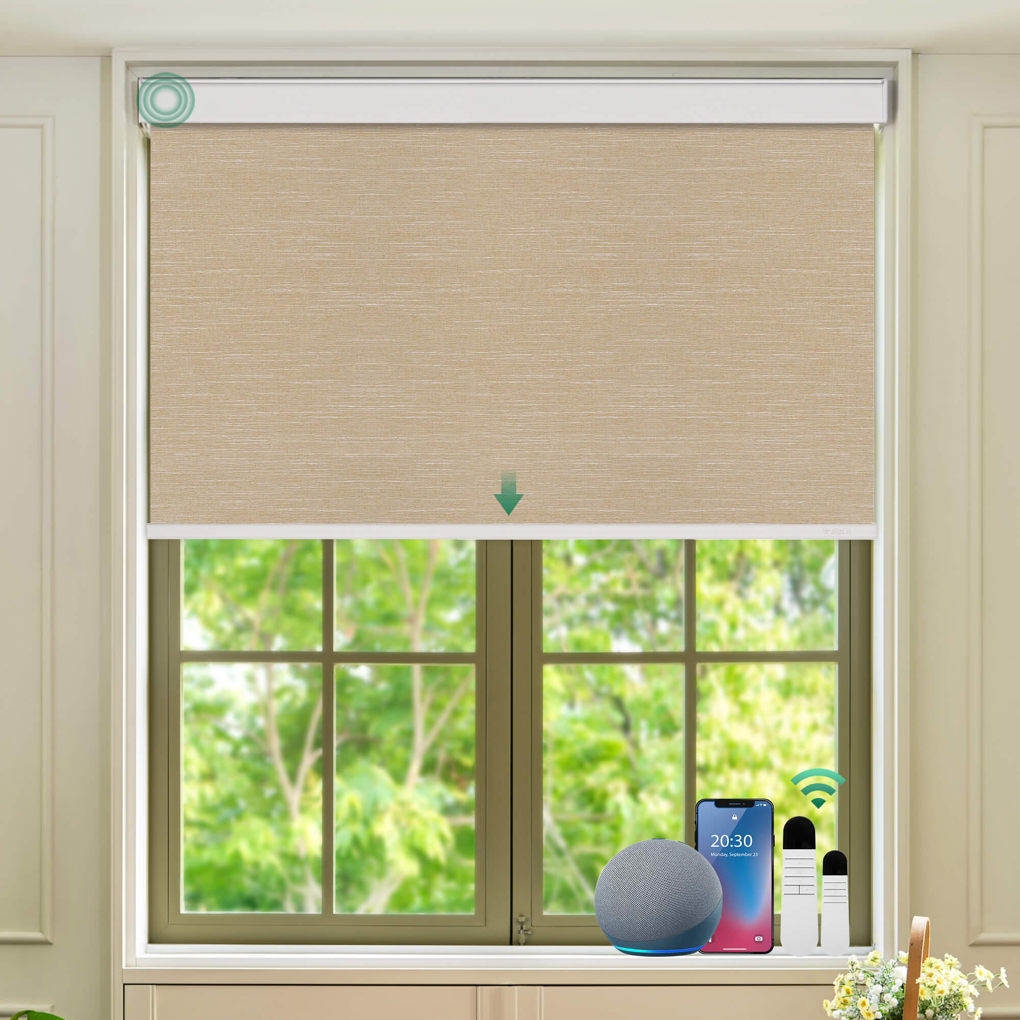 Allesin Select Motorized Blackout Roller Shades