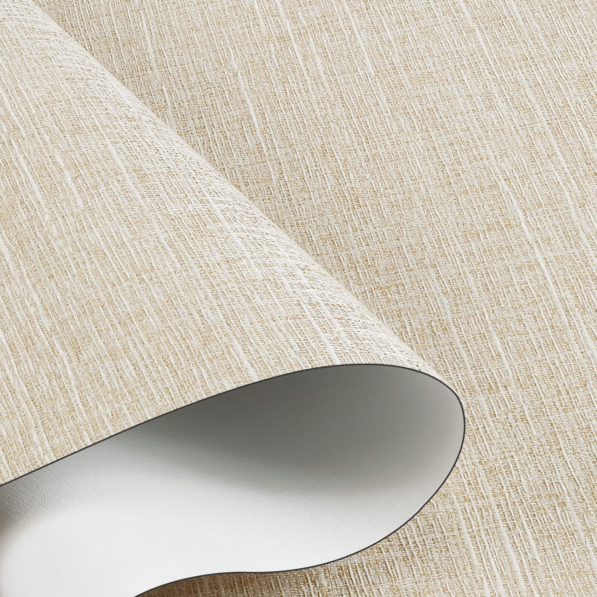 Allesin Select Motorized Blackout Roller Shades