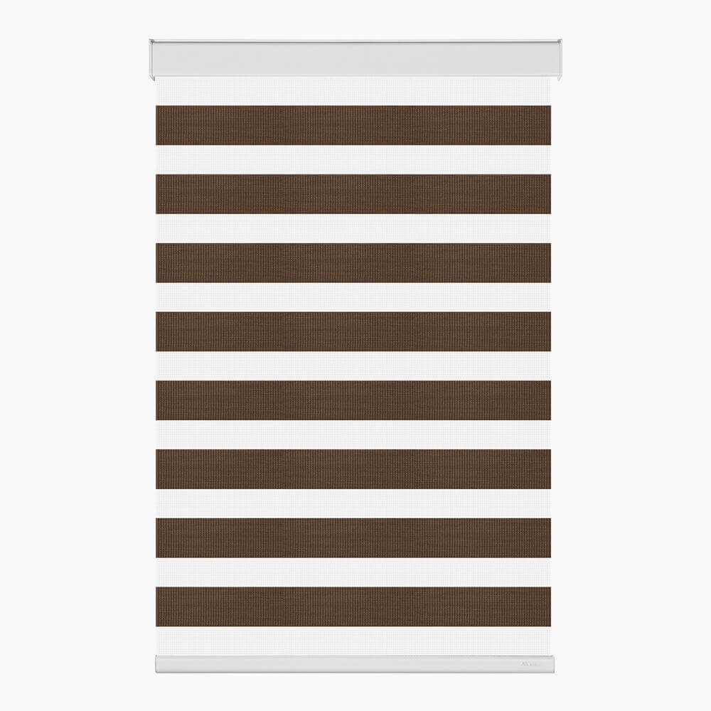 Allesin Select Motorized Zebra Shades