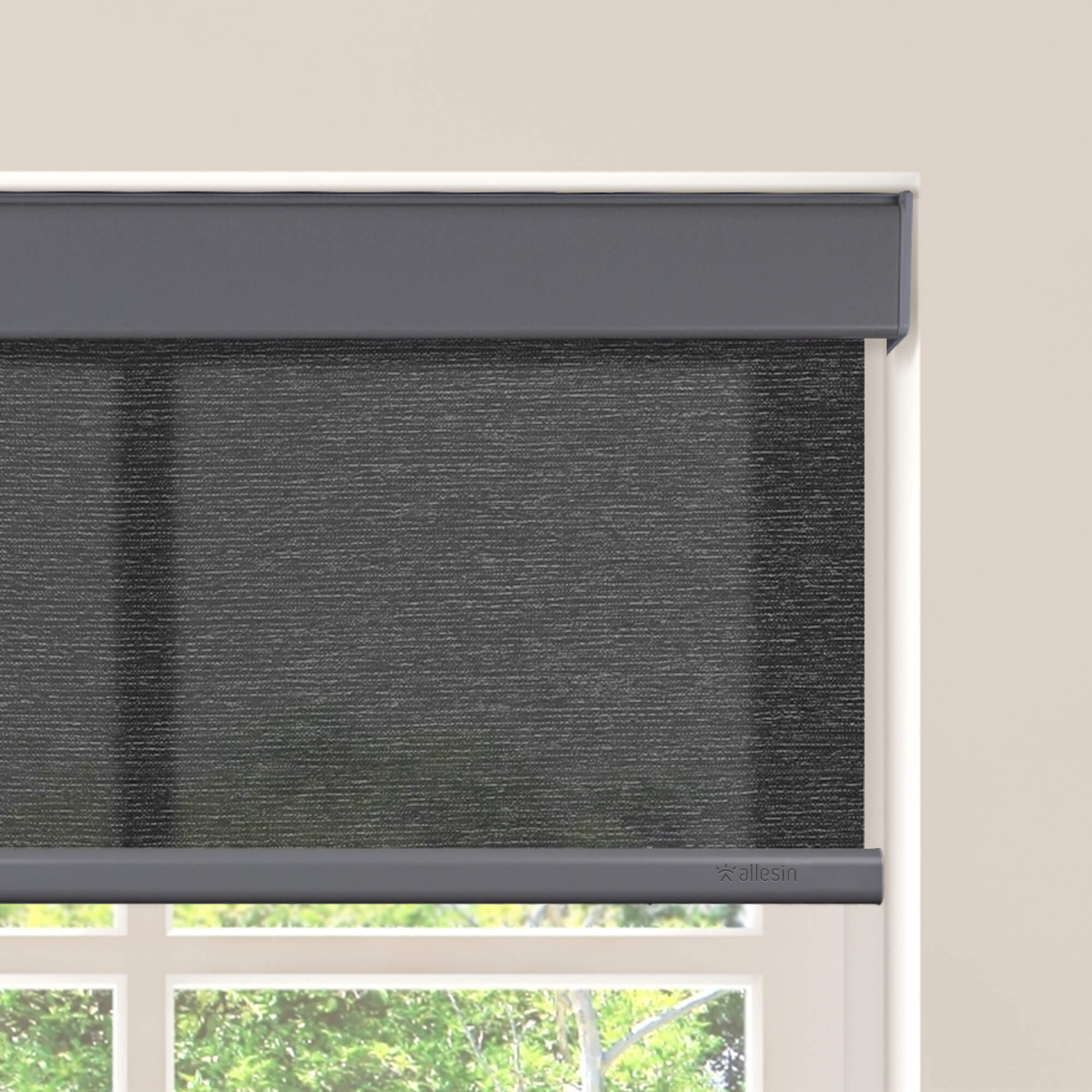 Allesin Motorized Light Filtering Roller Shades