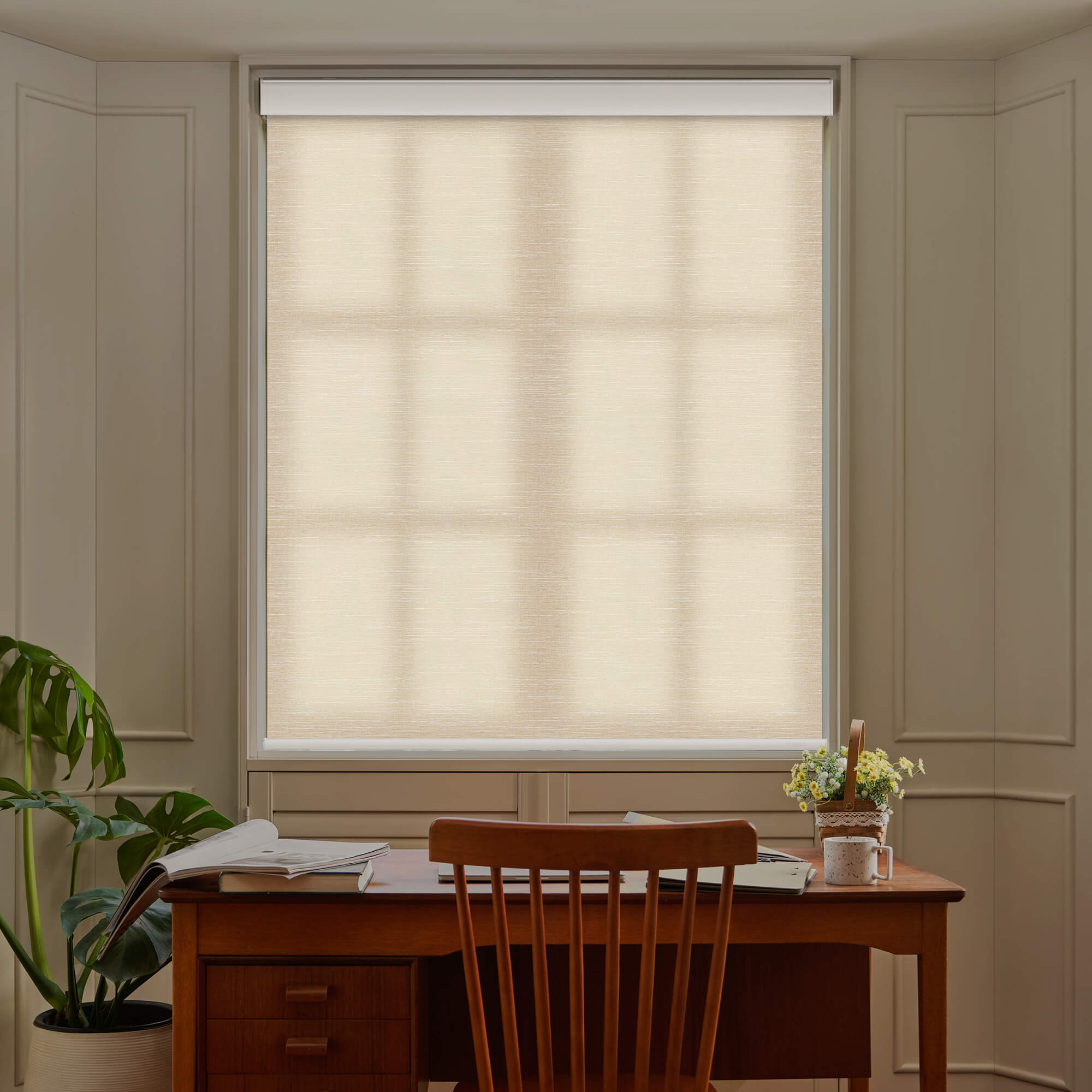 Allesin Motorized Light Filtering Roller Shades