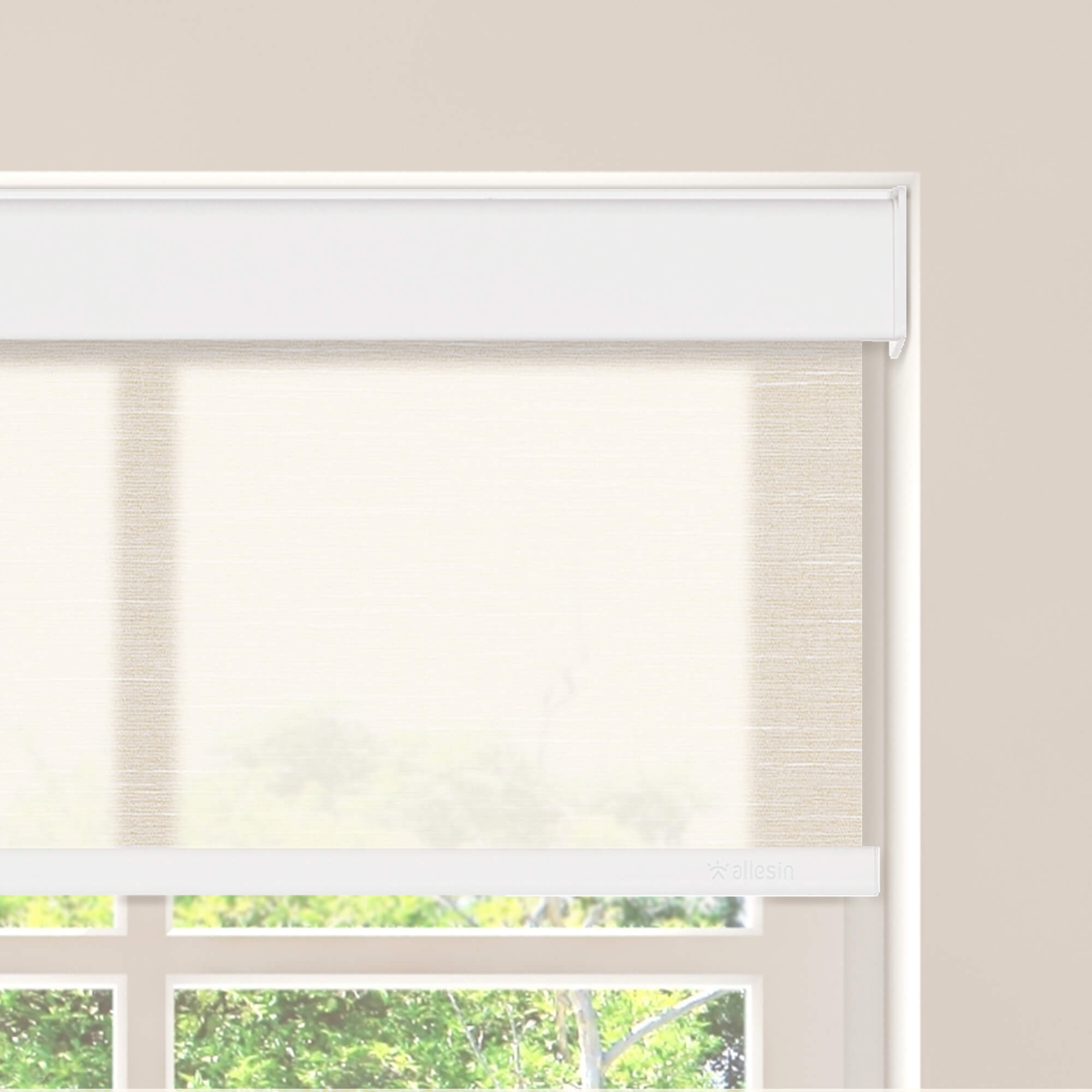Allesin Motorized Light Filtering Roller Shades