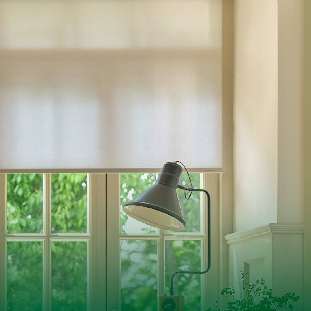 Roller Shades