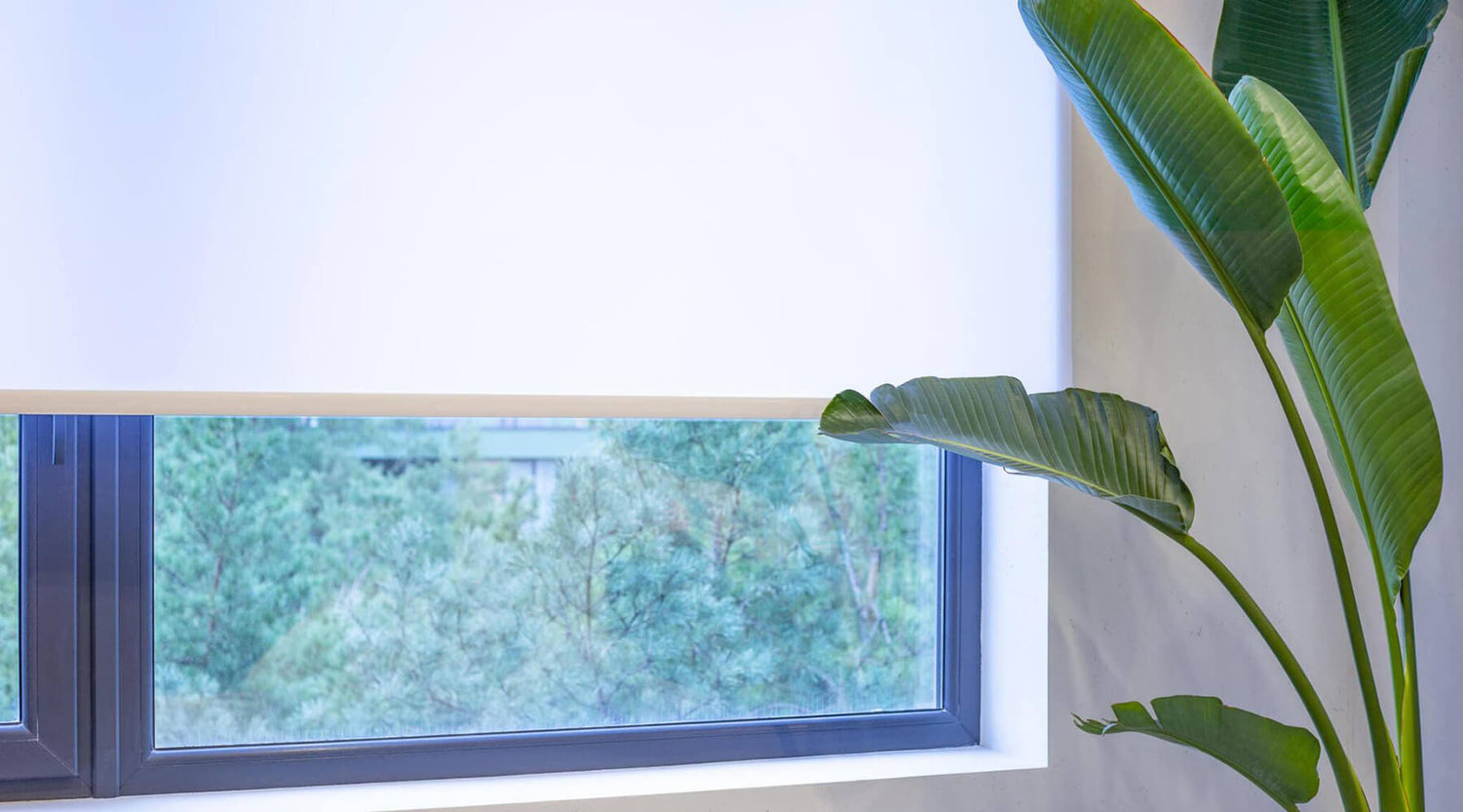 From Sunrise to Sunset: Automate Your Day with Smart Blinds Schedules