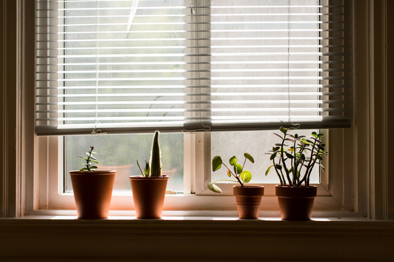 Embrace Modern Living with the Benefits of Motorized Blinds