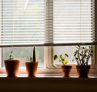 Embrace Modern Living with the Benefits of Motorized Blinds